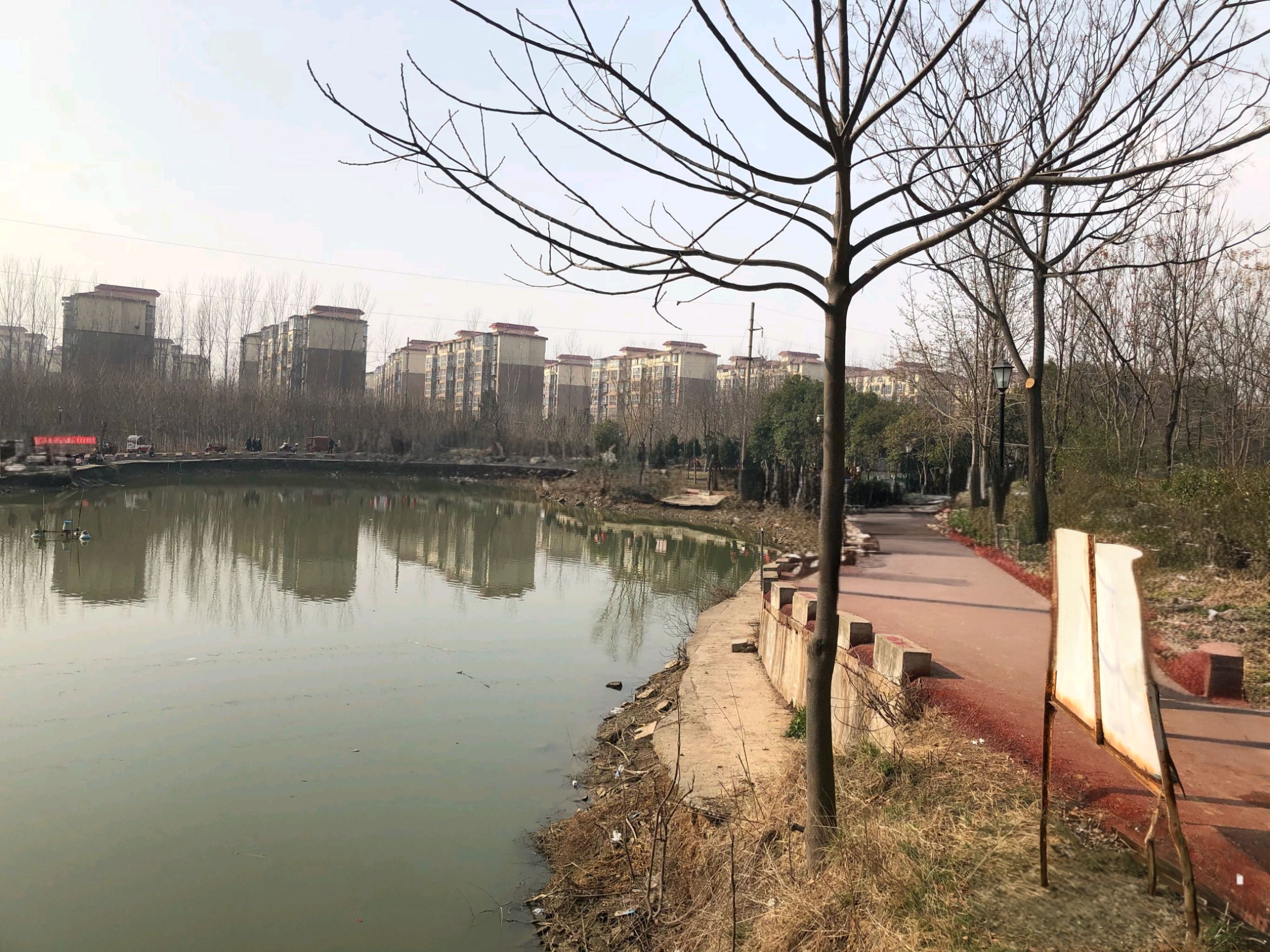 西城森林公园旅行图片 2