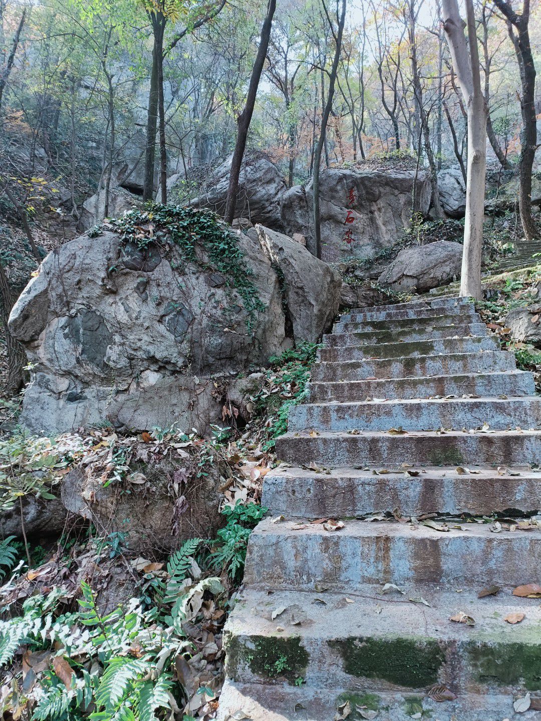 金顶山风景区旅行图片 3