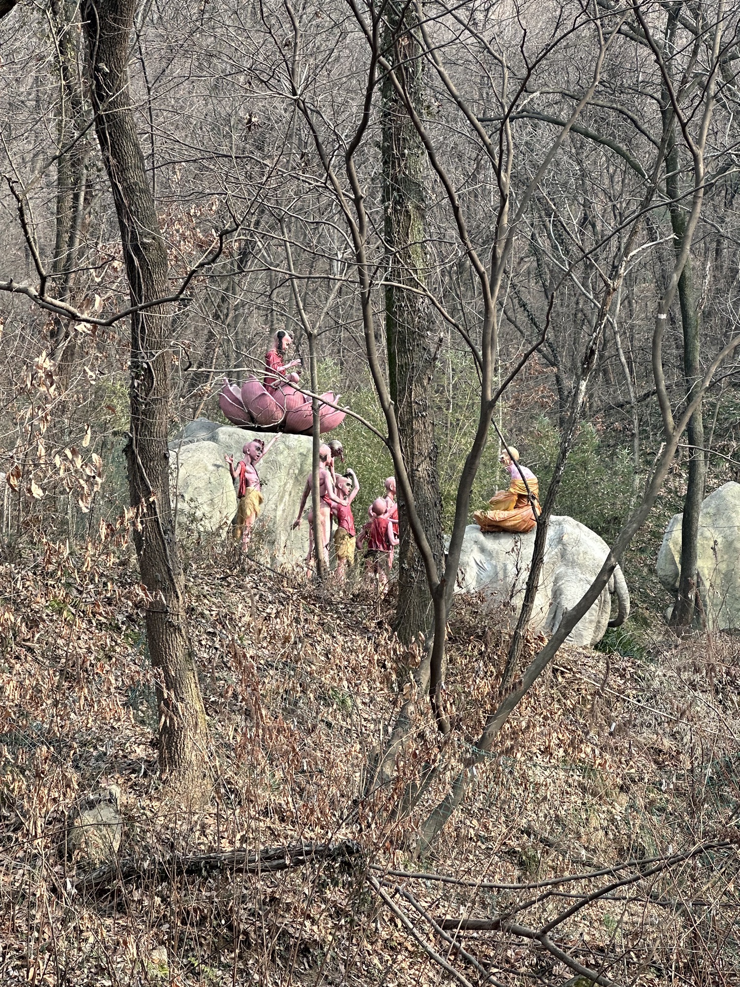 金顶山风景区旅行图片 3