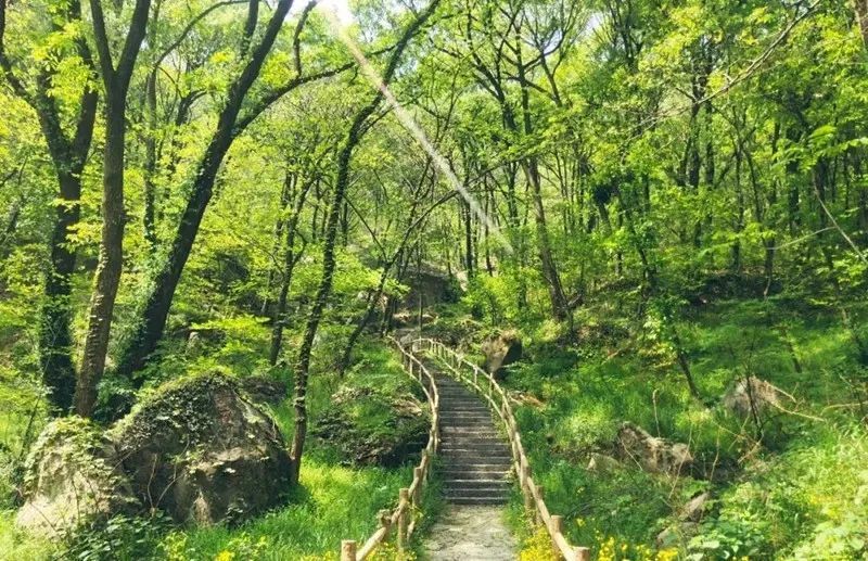 金顶山风景区旅行图片 2
