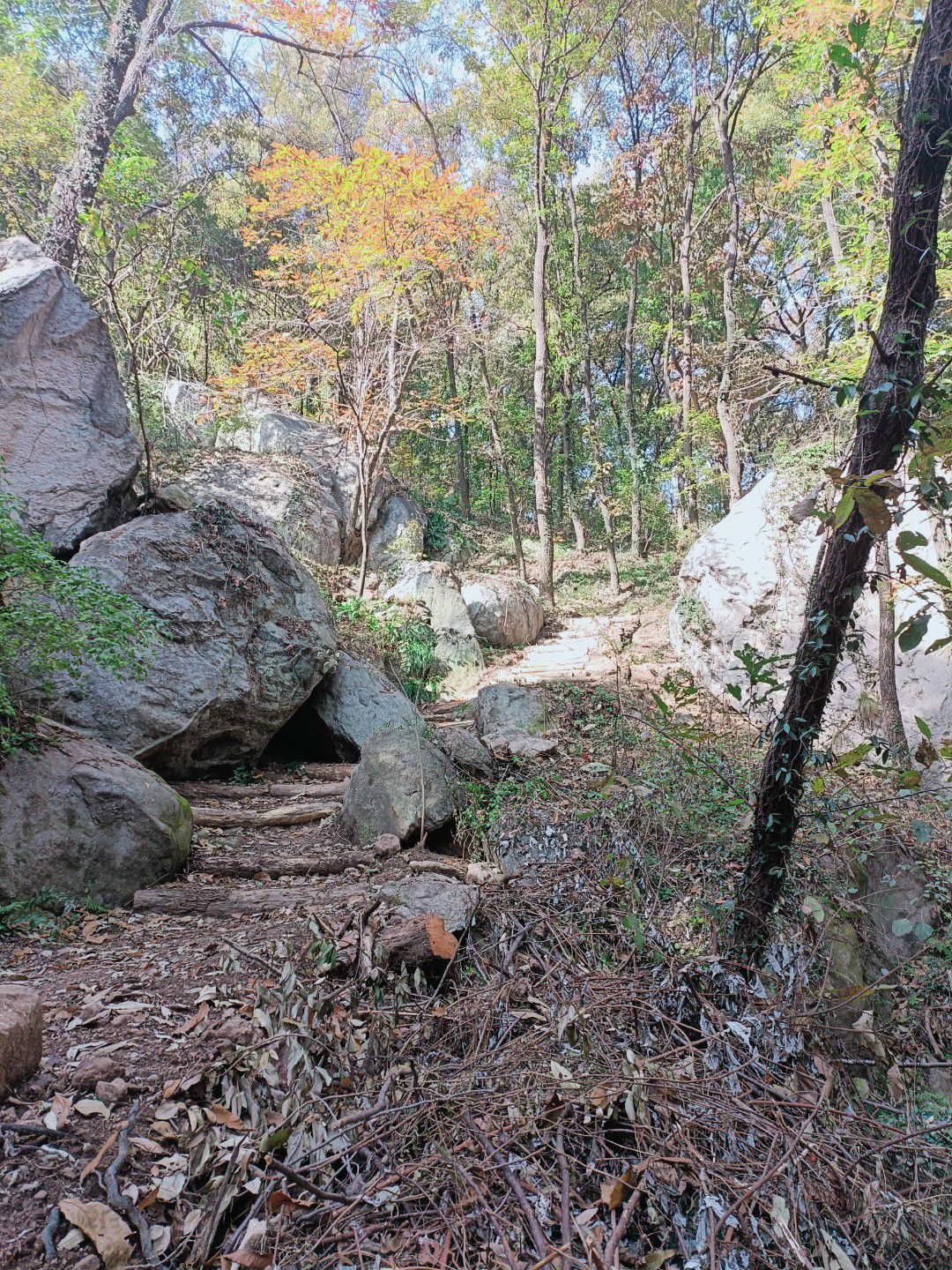 金顶山风景区旅行图片 2