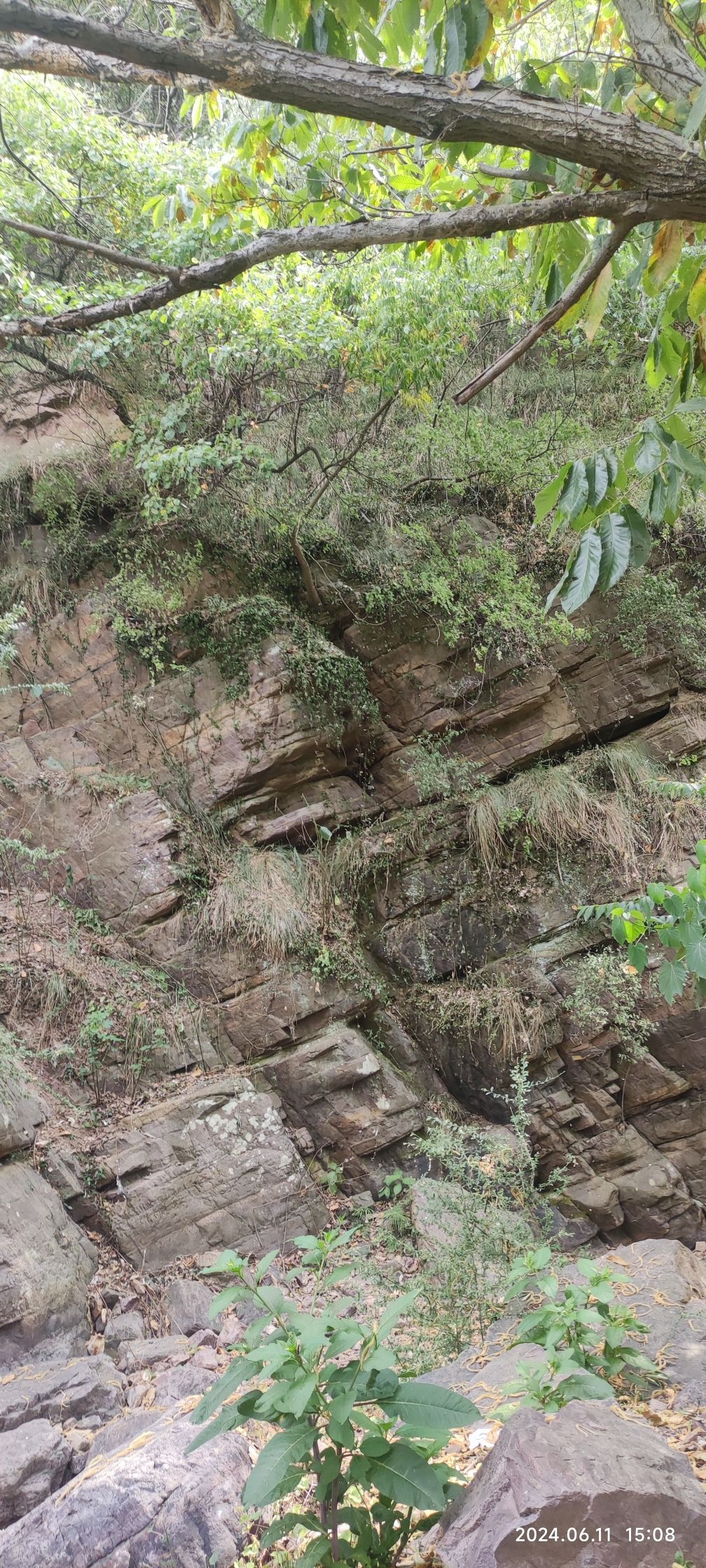 龙天沟旅行图片 1