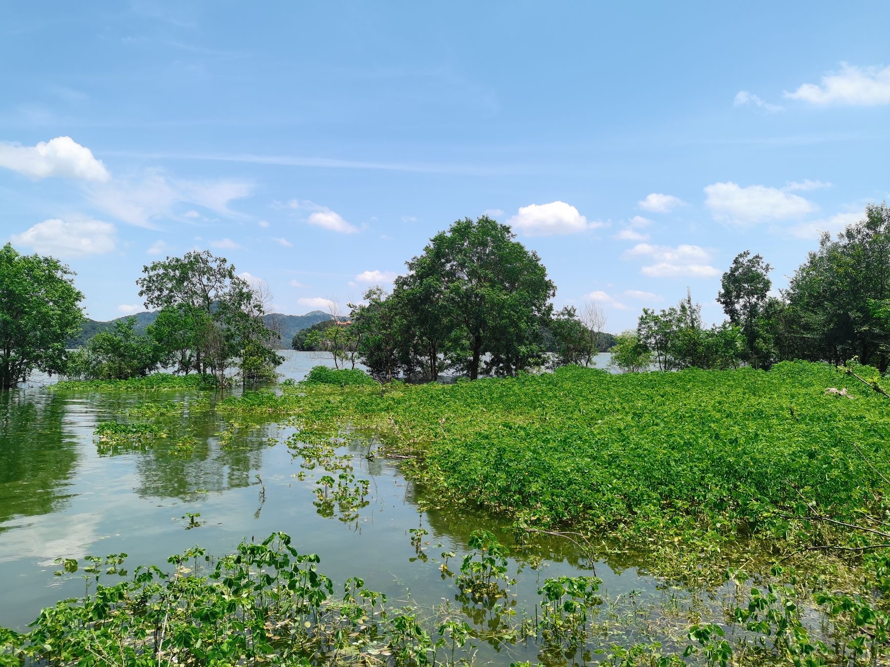 薄山湖风景区旅行图片 3