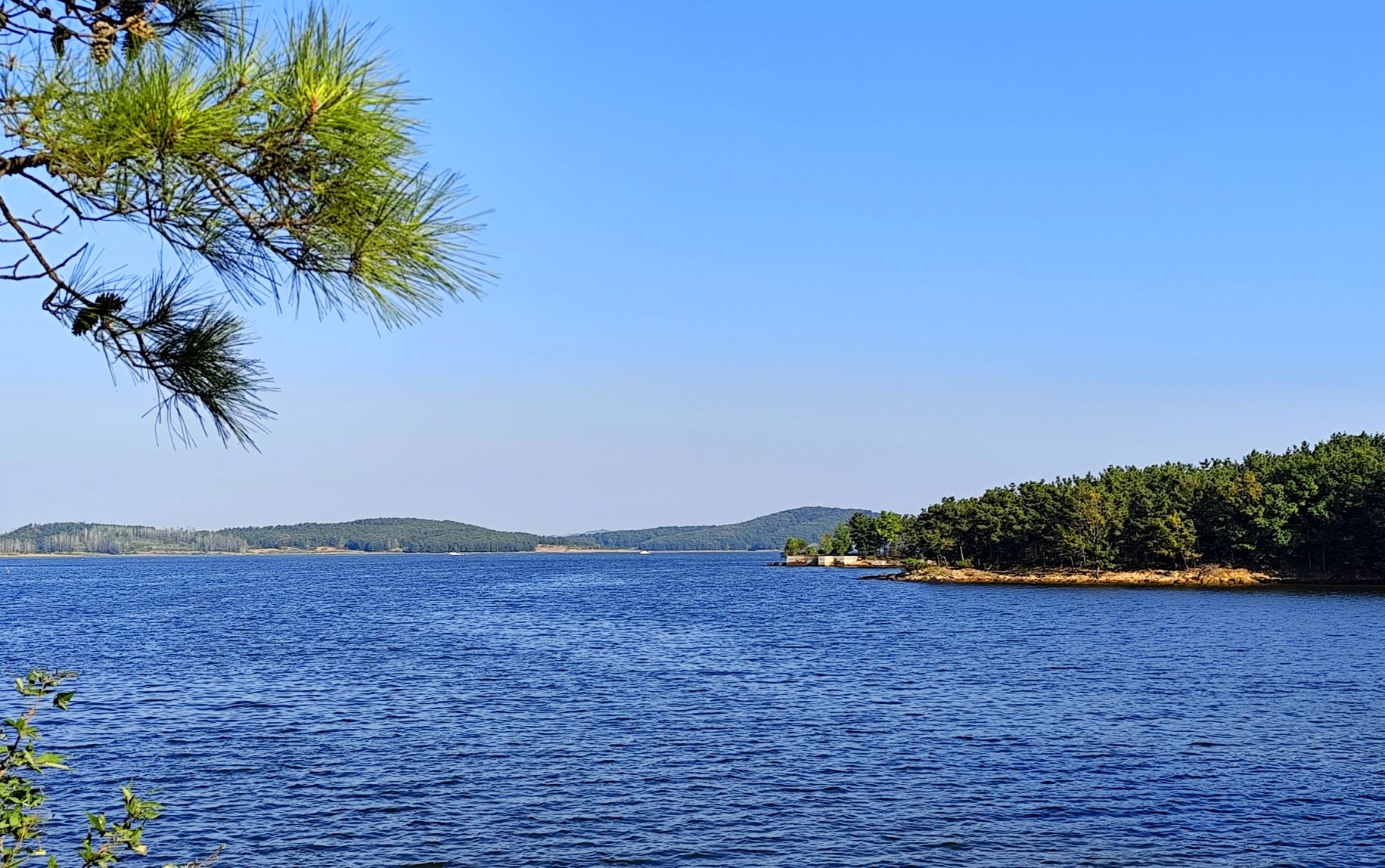 铜山湖森林公园