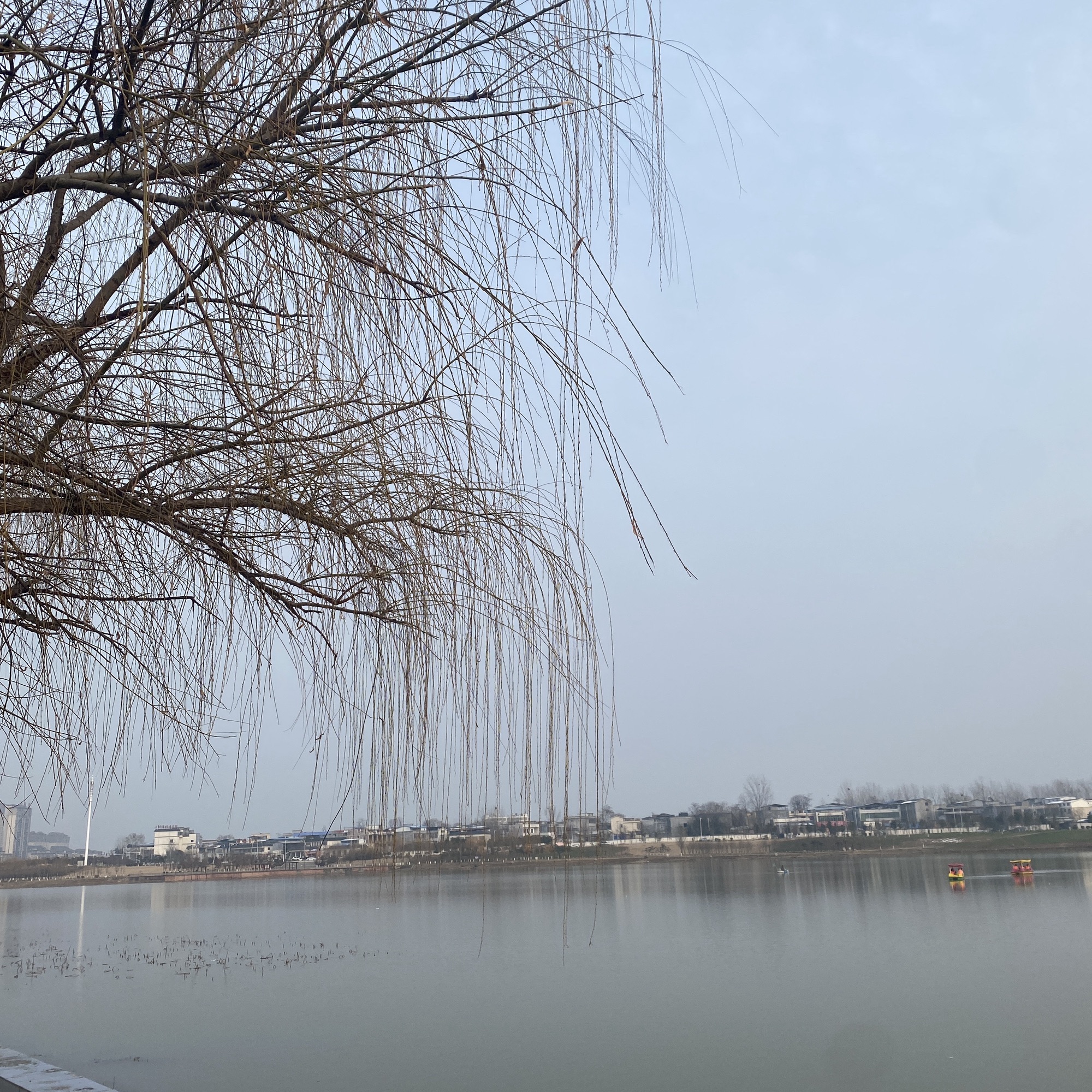 泌水湖公园旅行图片