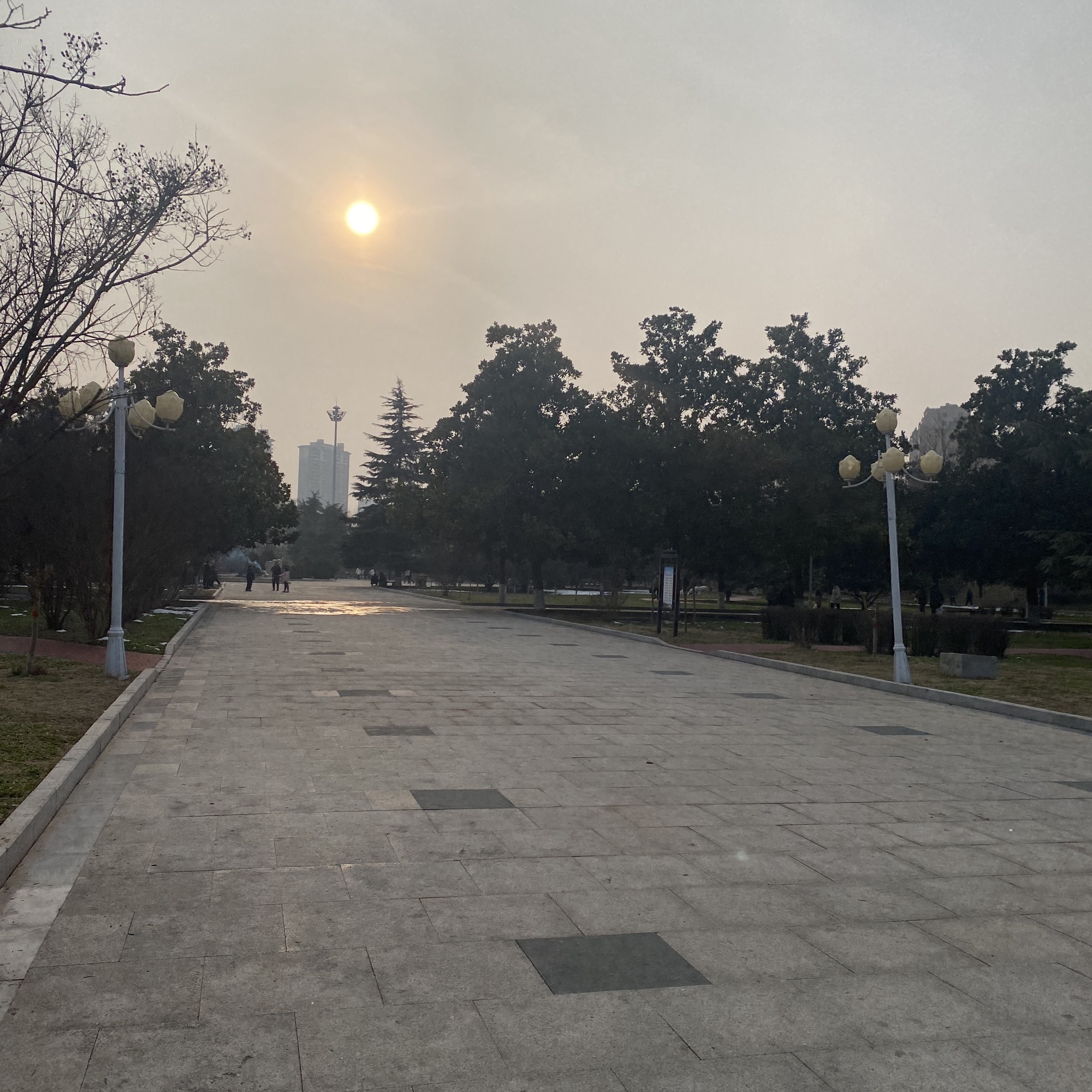 泌水湖公园旅行图片 3