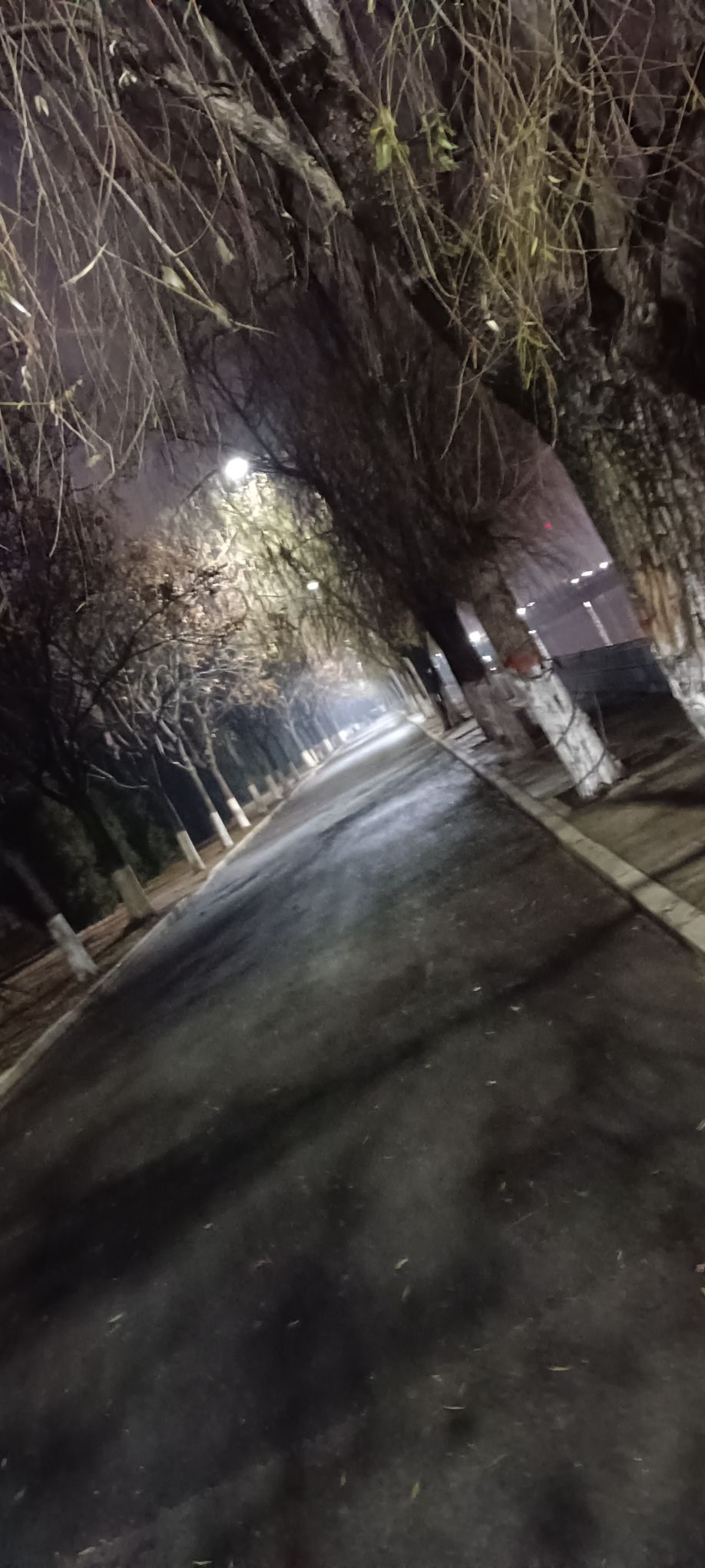 泌水湖公园旅行图片 1