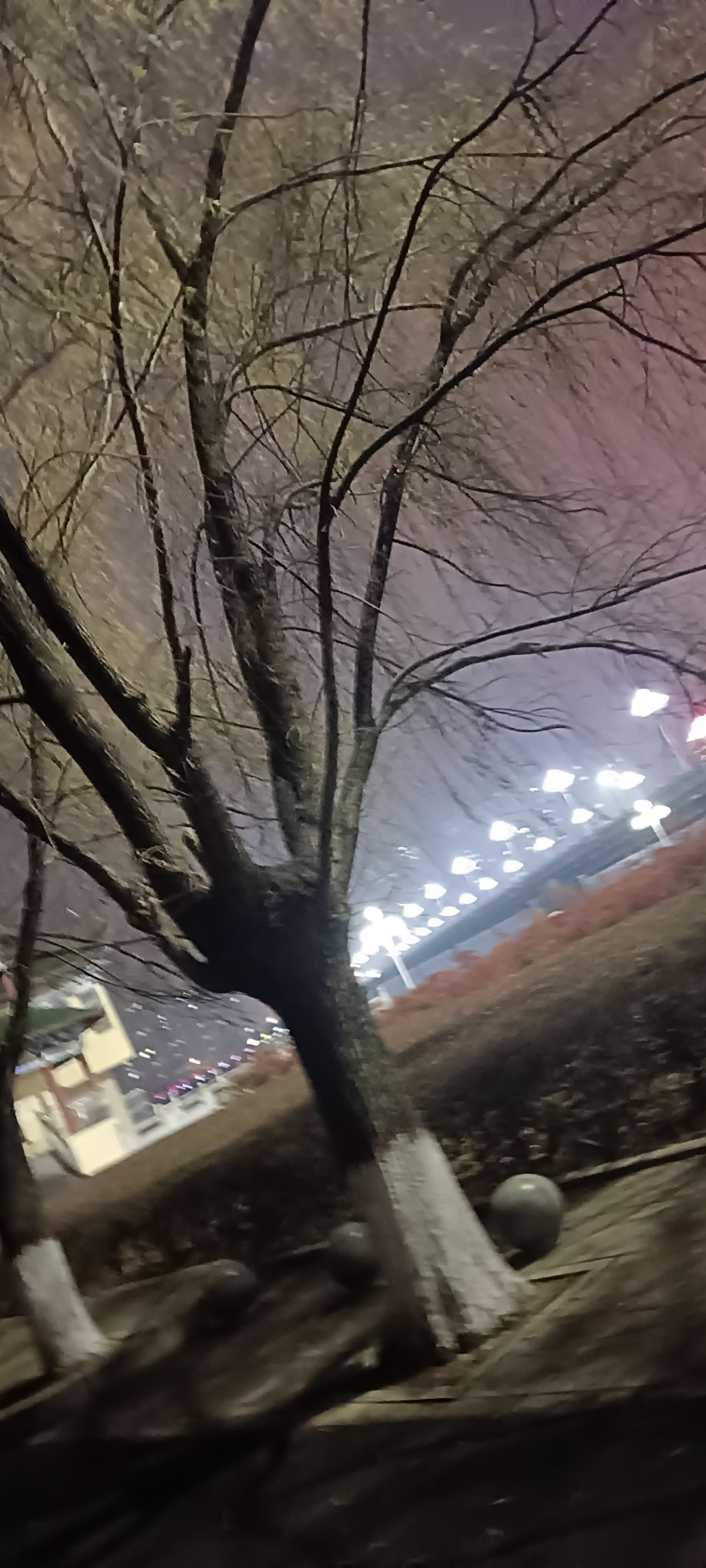 泌水湖公园旅行图片 2