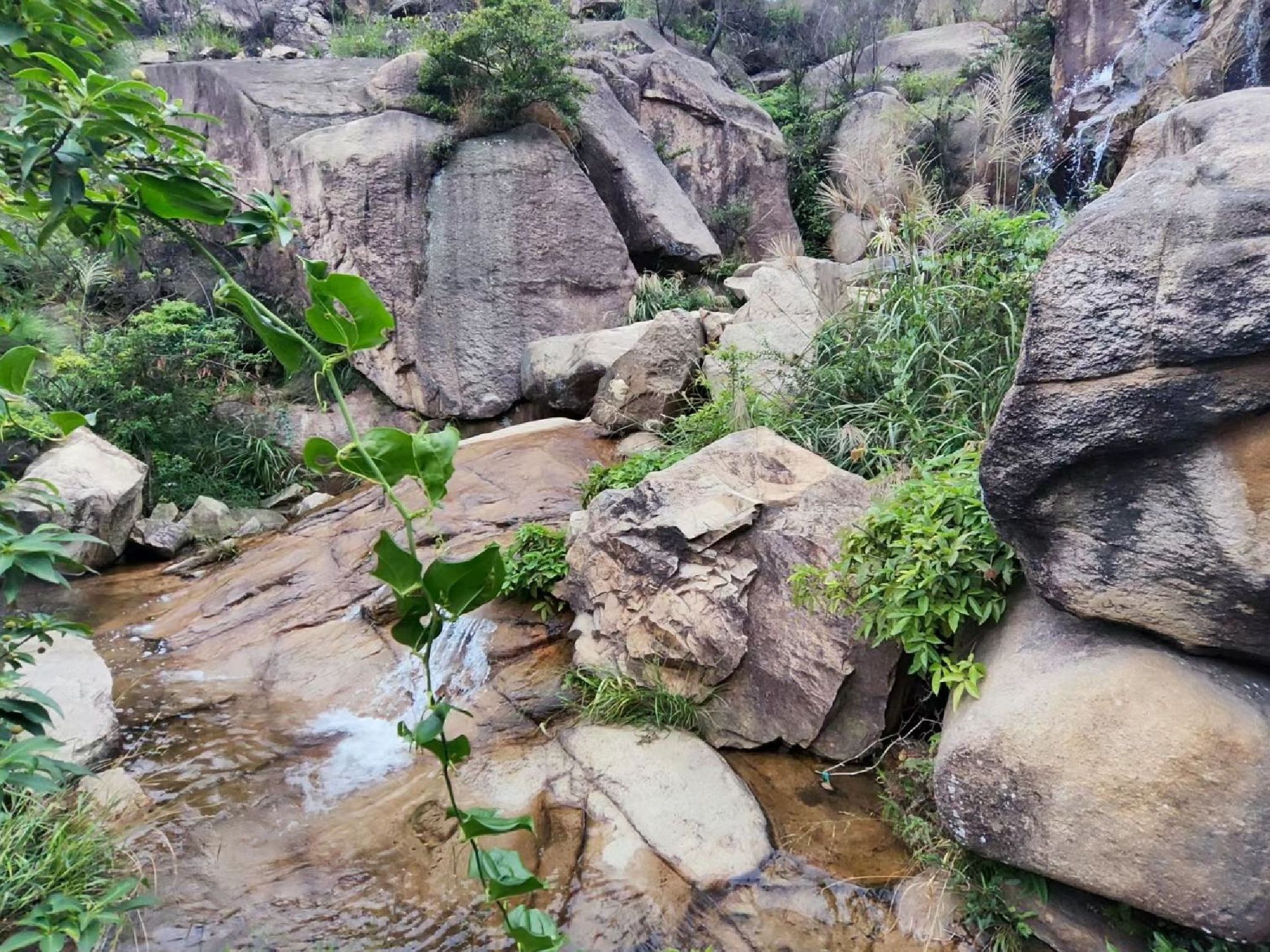 盘古山风景区旅行图片 2