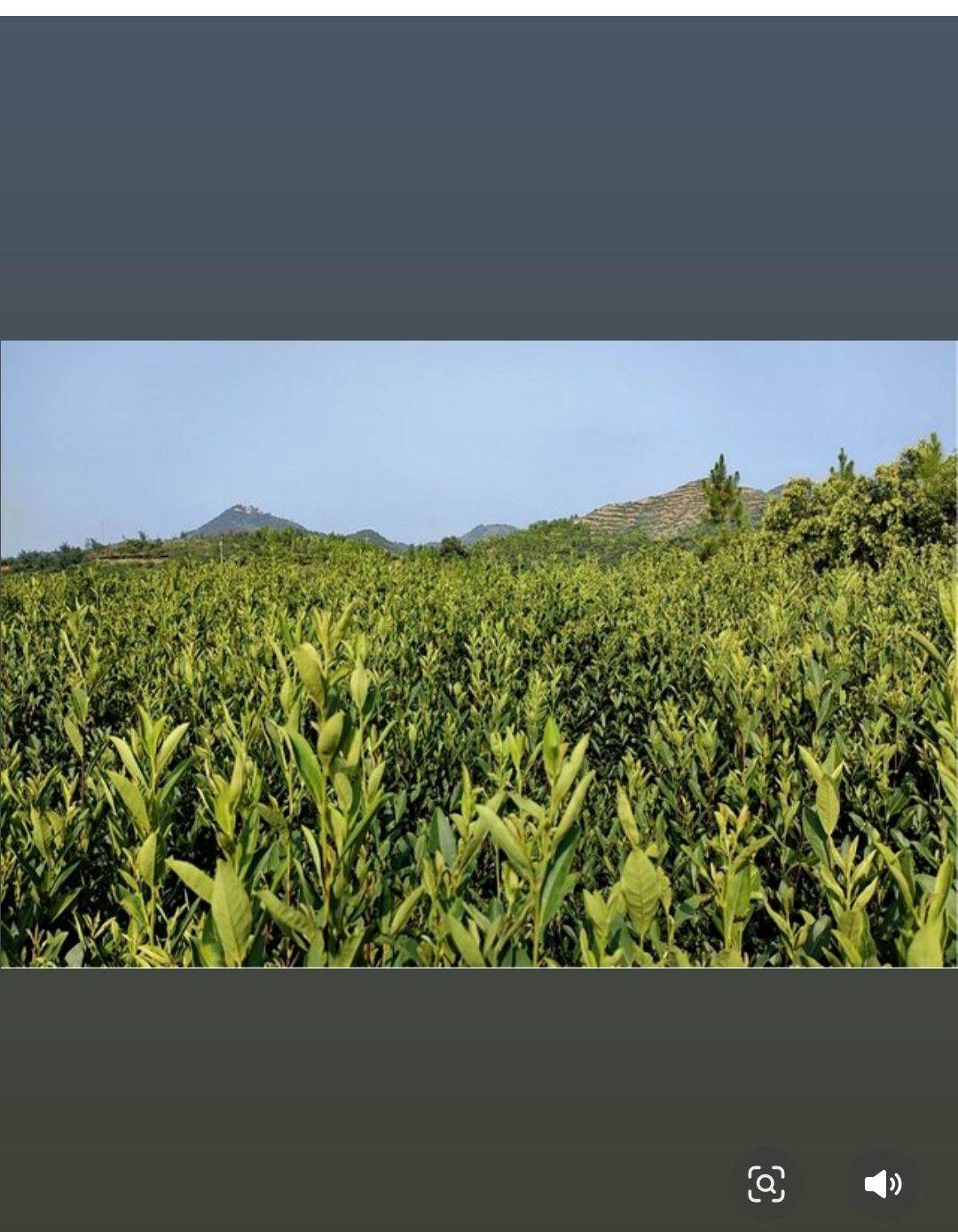 盘古山风景区旅行图片 3