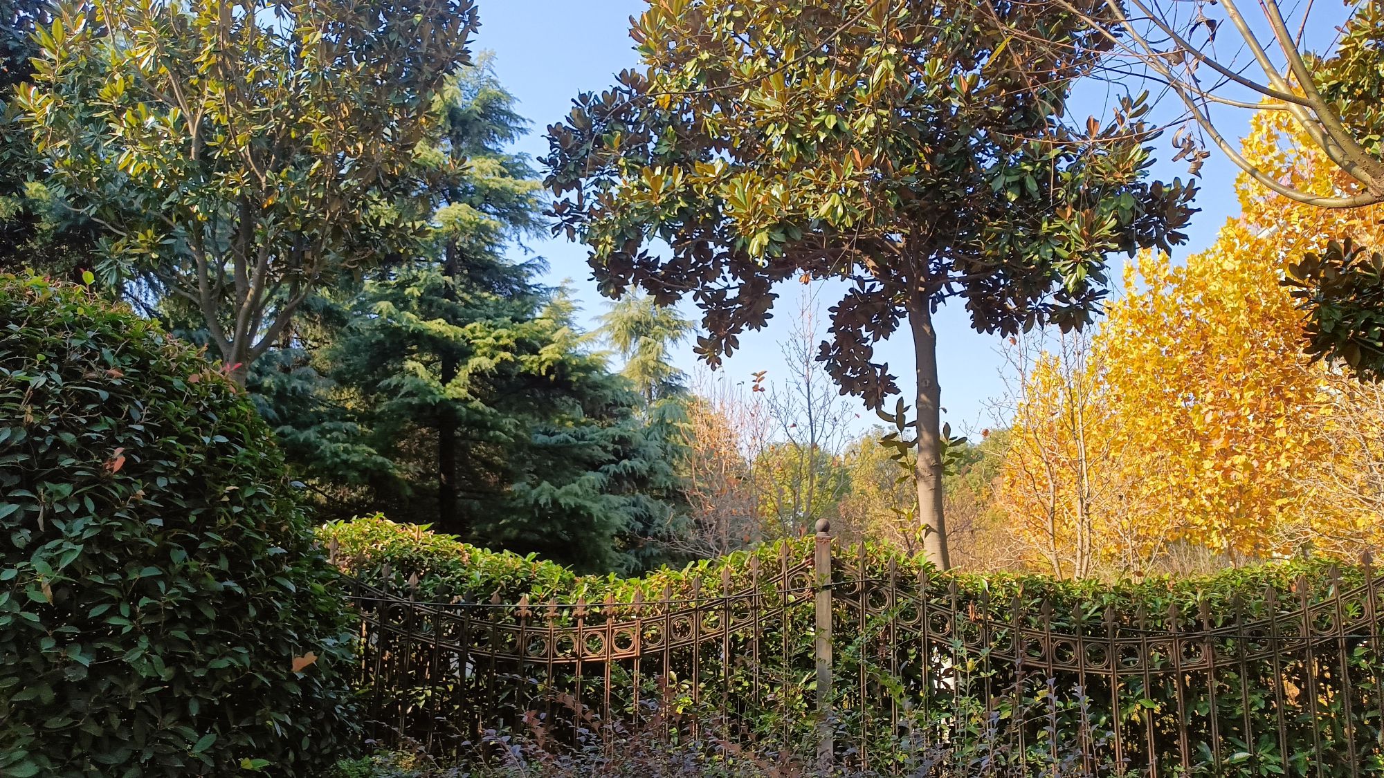 置地公园旅行图片 1
