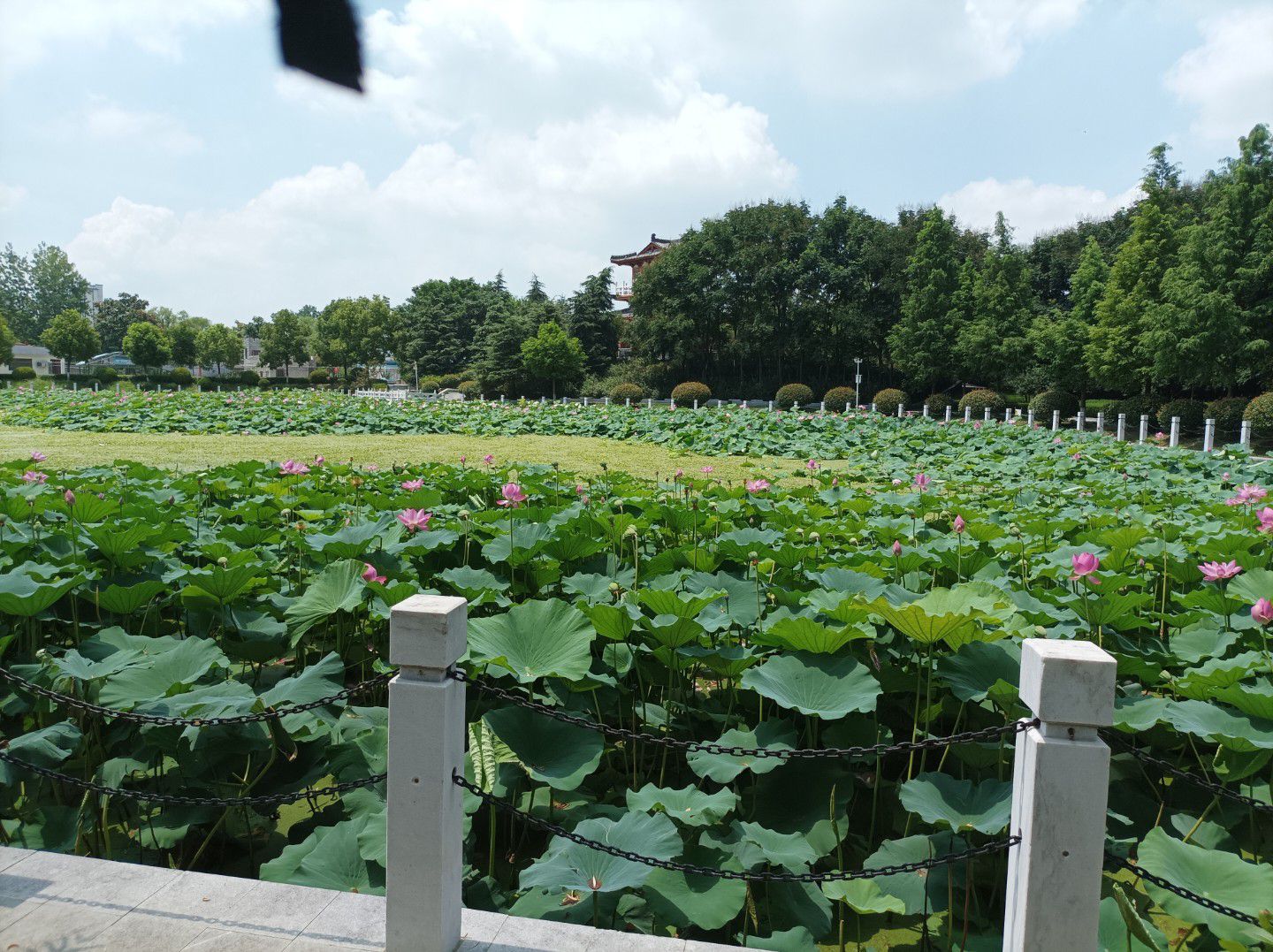 置地公园旅行图片 3