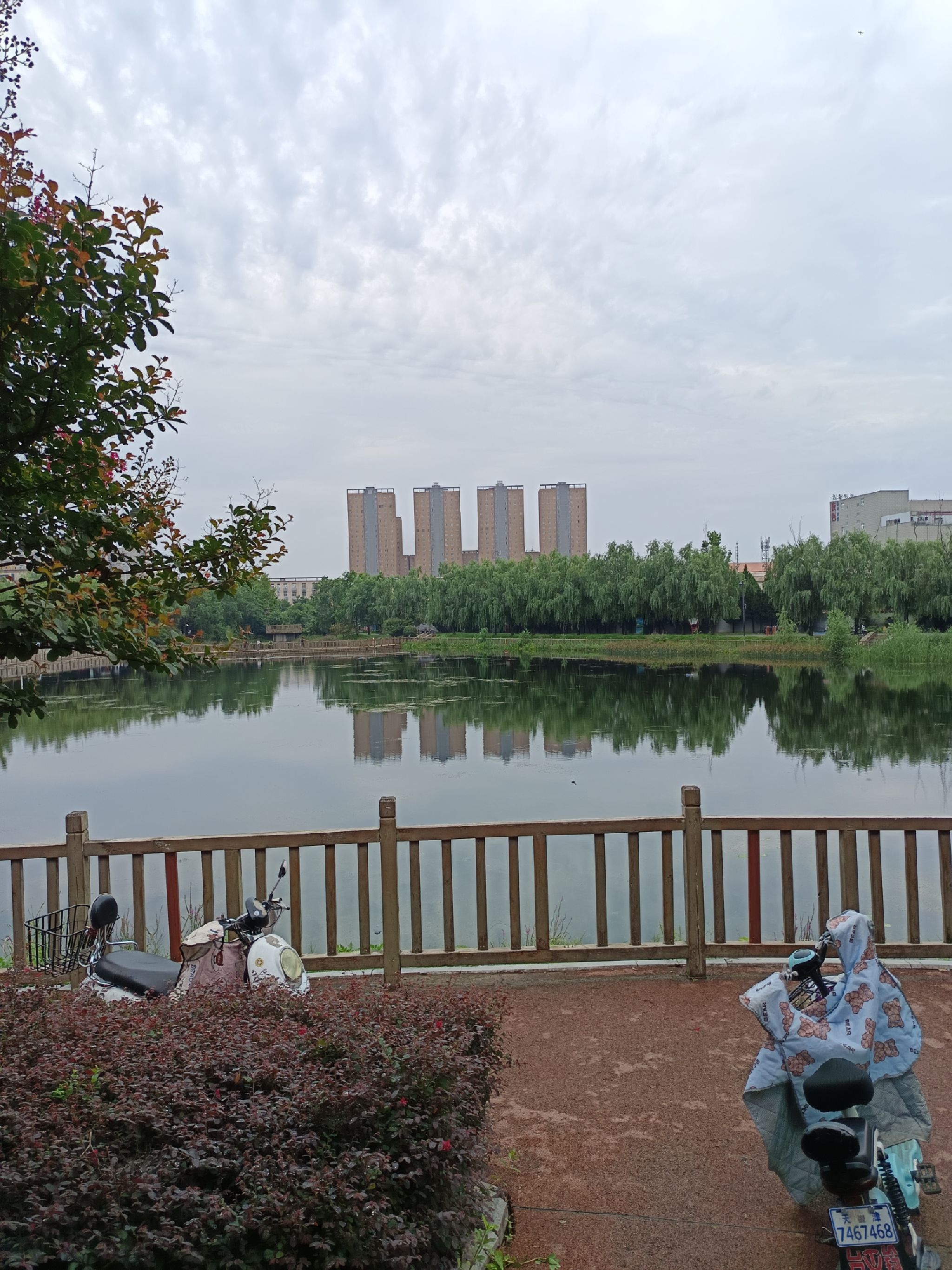 陈蕃公园旅行图片 1