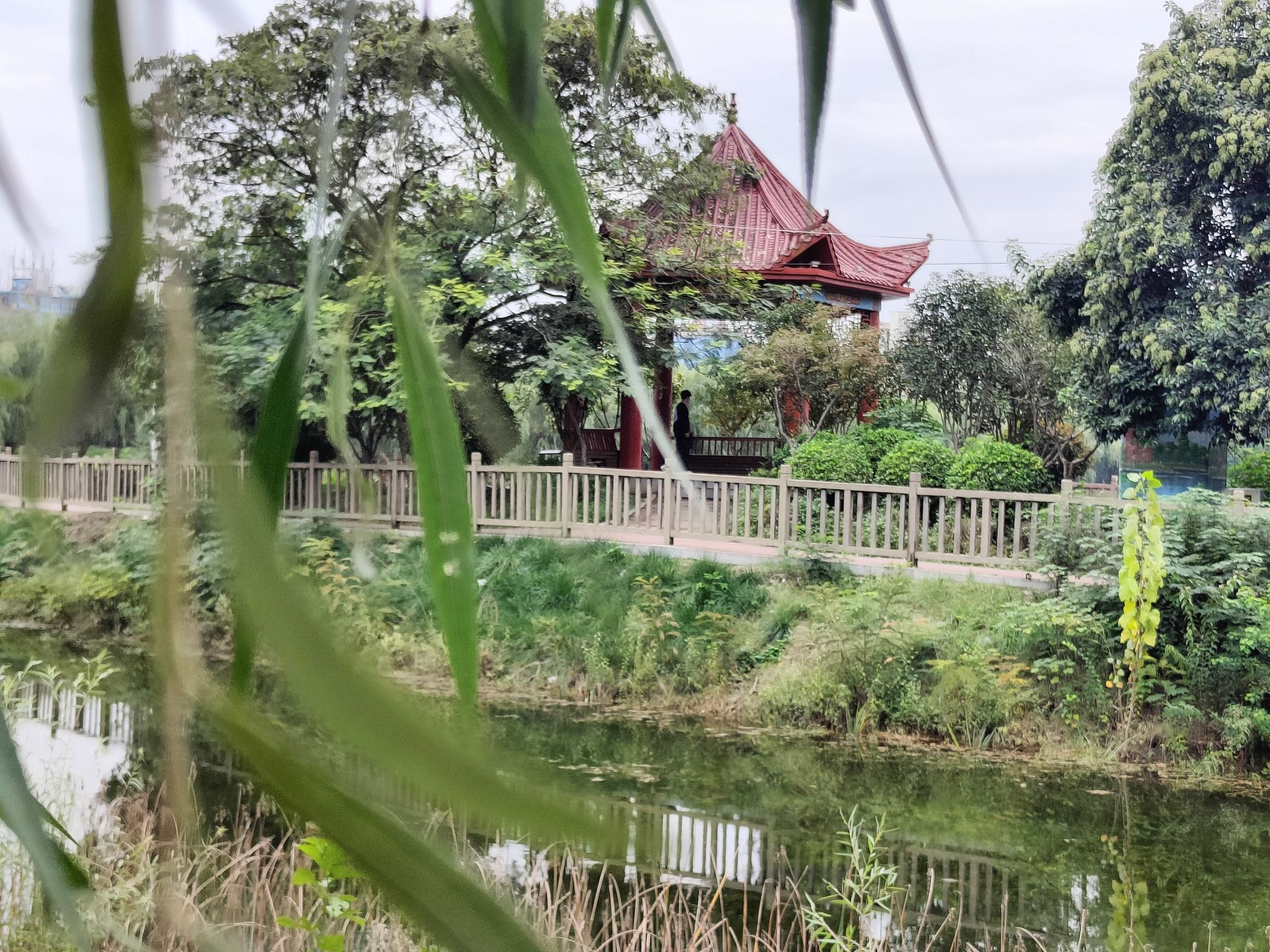 陈蕃公园旅行图片 2