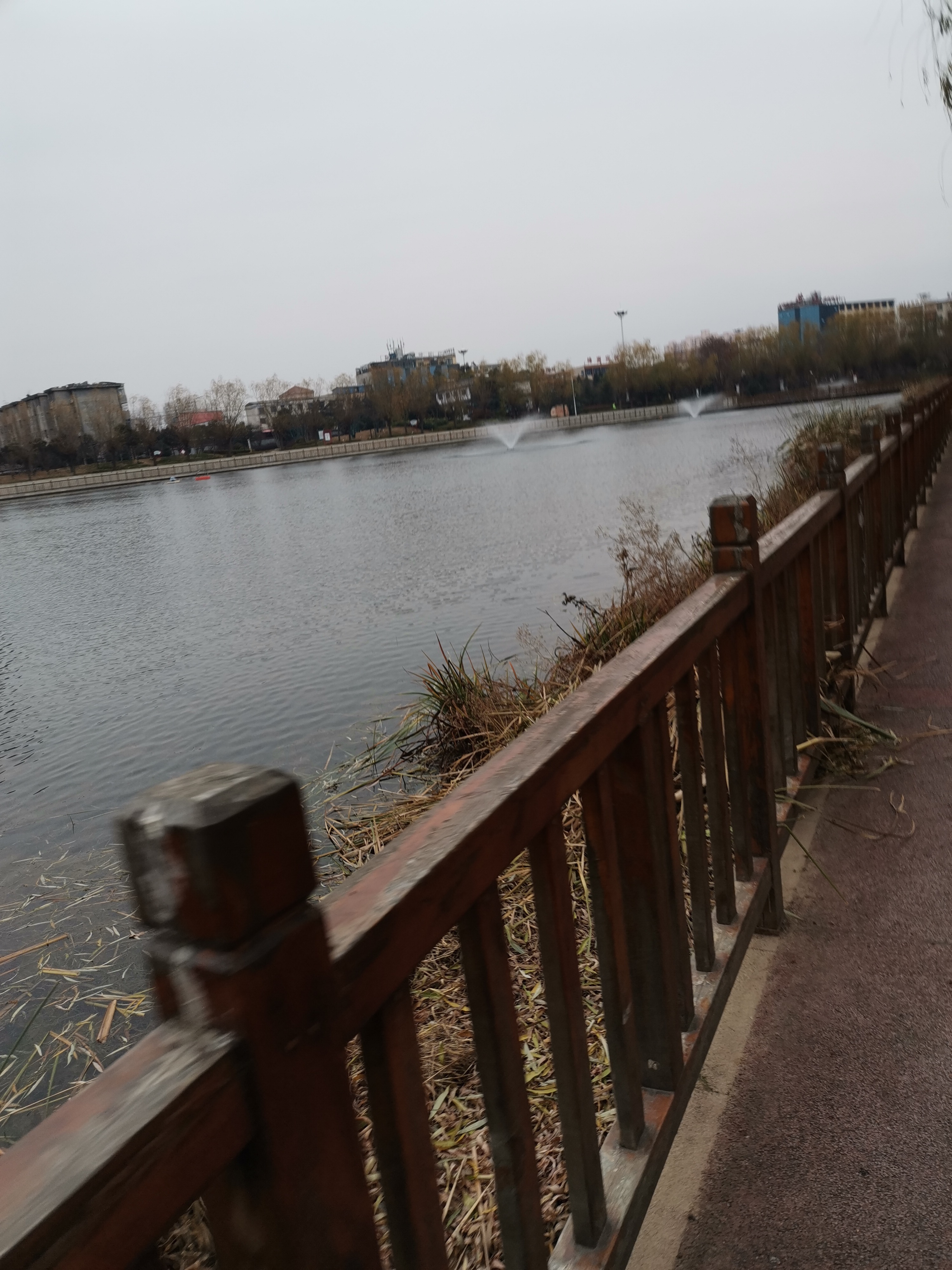 陈蕃公园旅行图片 2