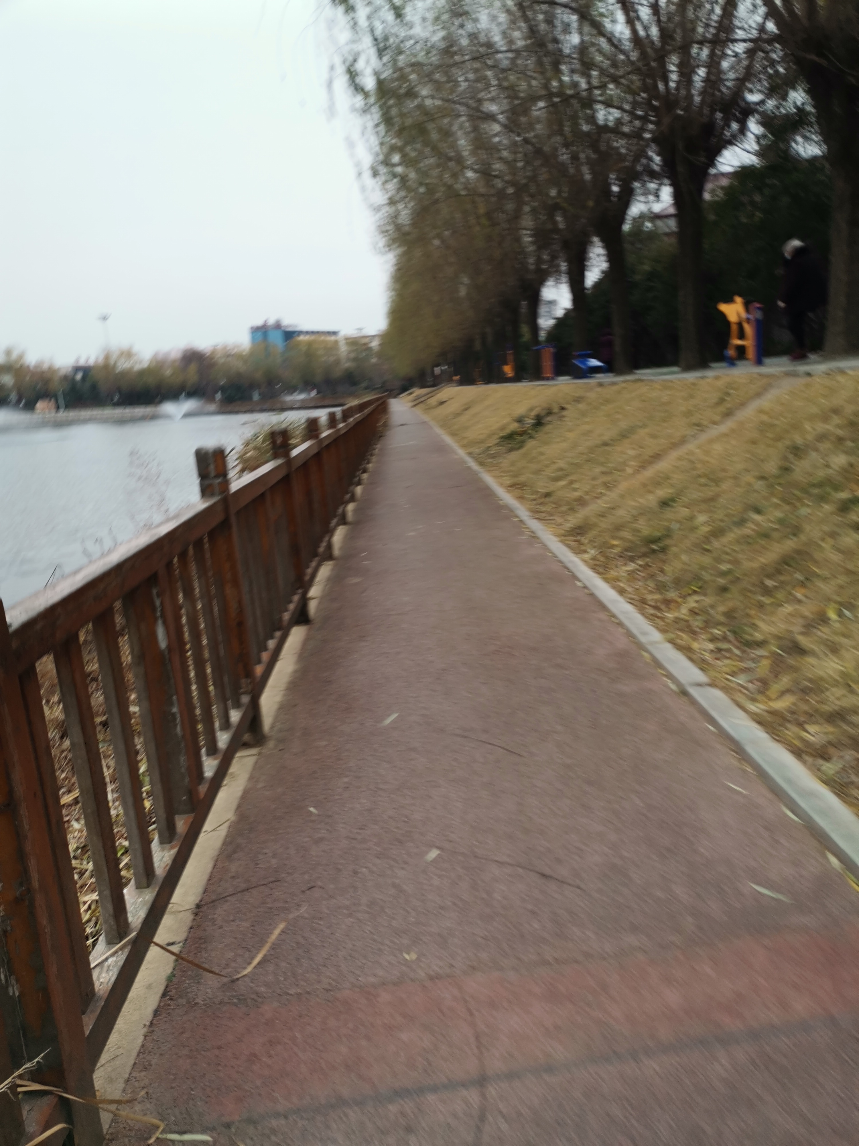 陈蕃公园旅行图片 3