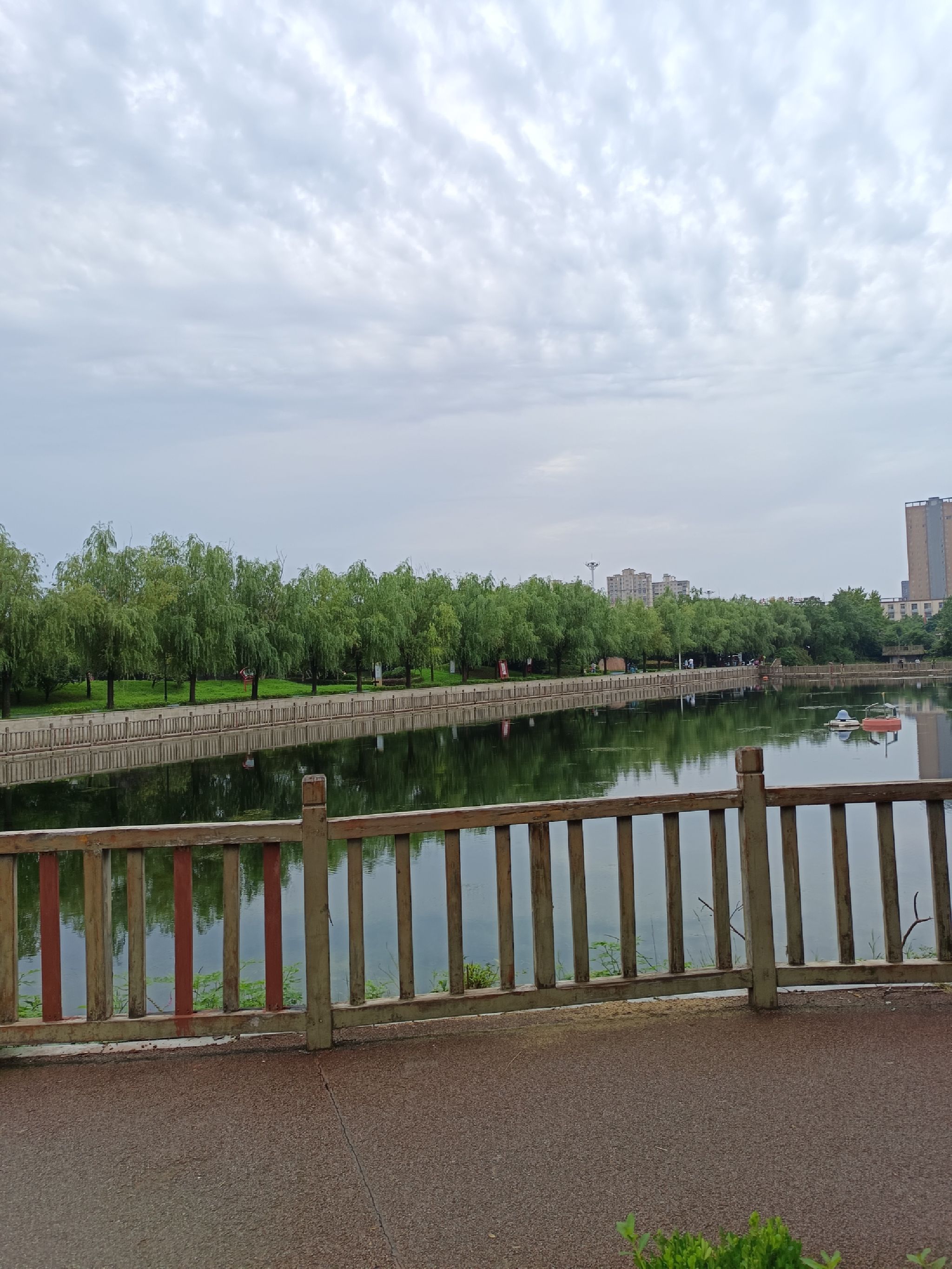 陈蕃公园旅行图片 2