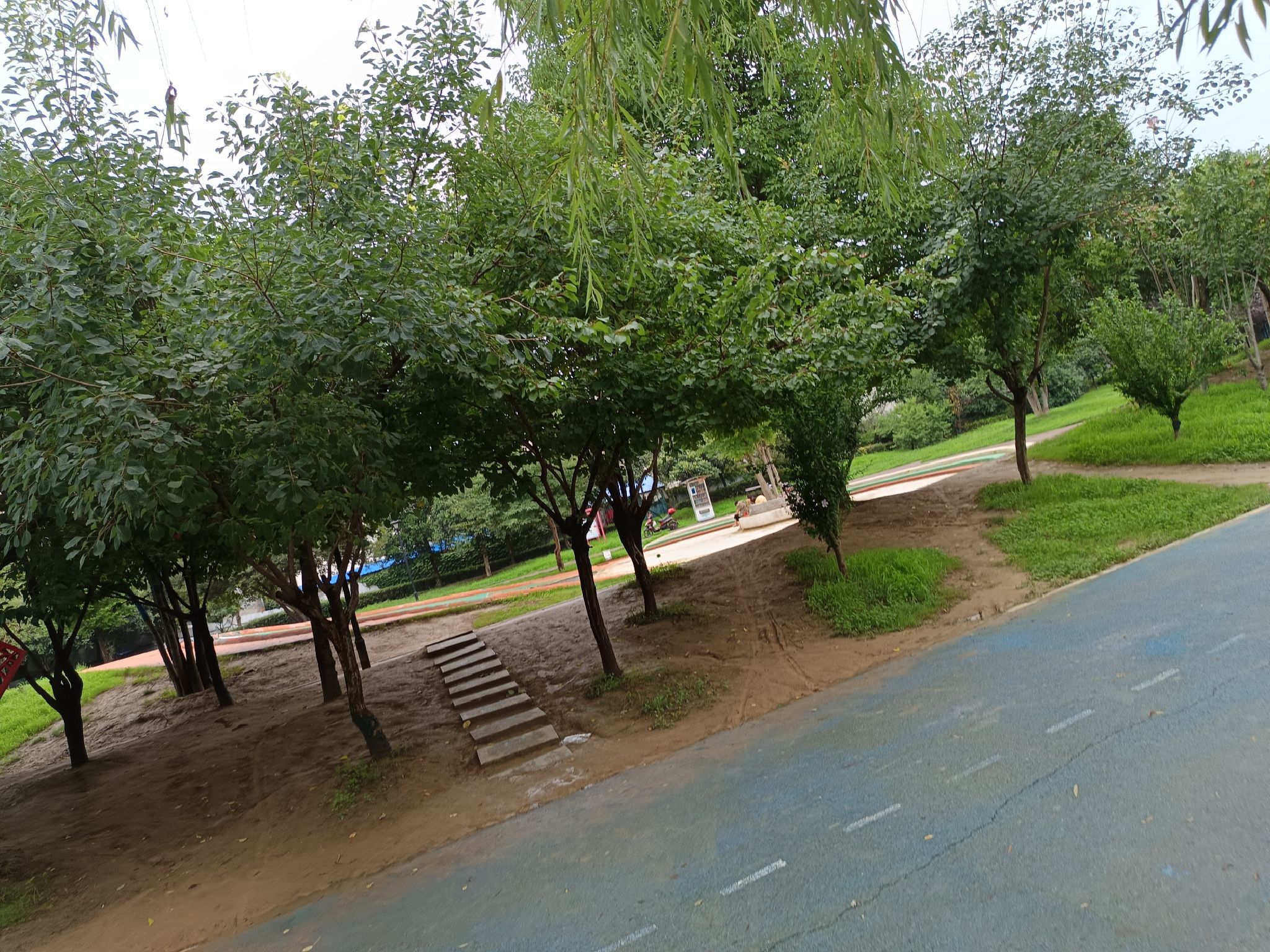 陈蕃公园旅行图片 3