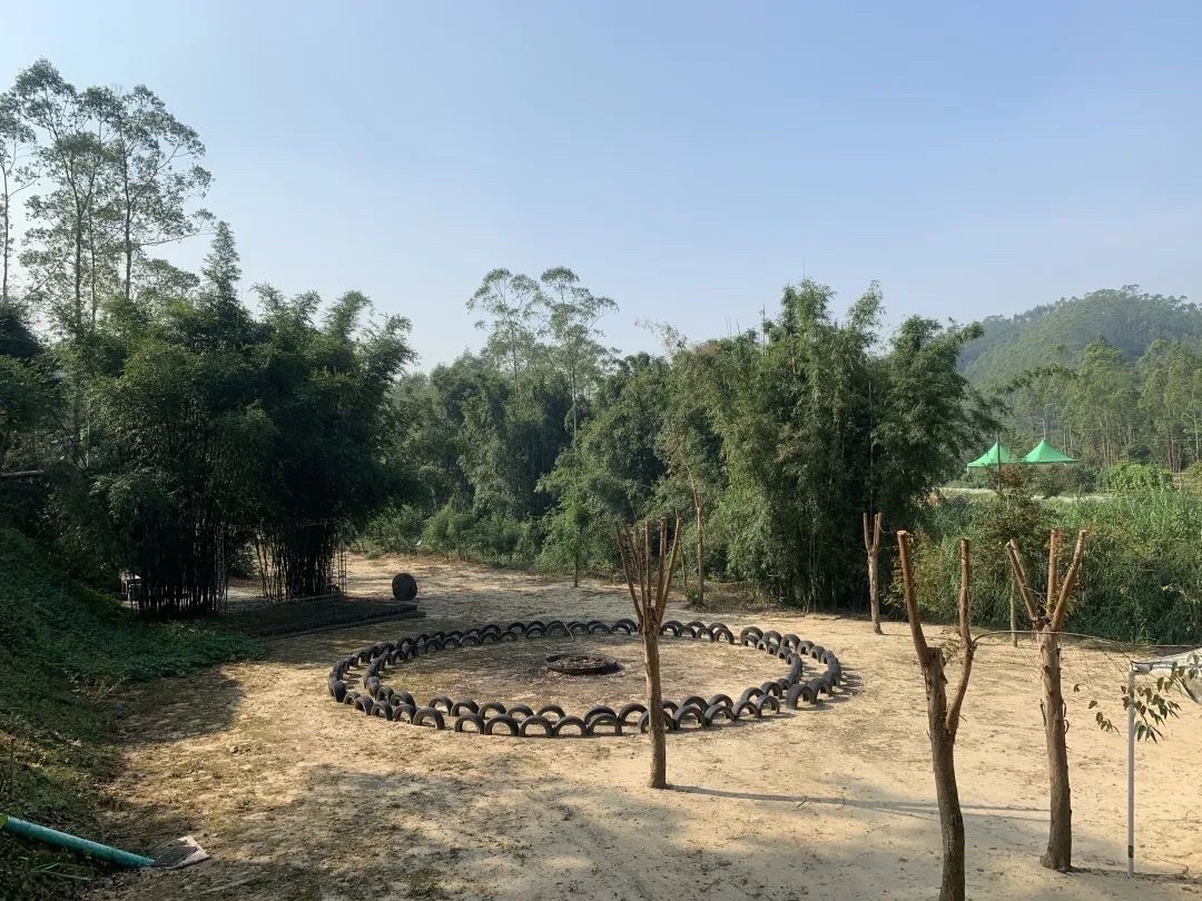 凤鸣谷风景区旅行图片 3