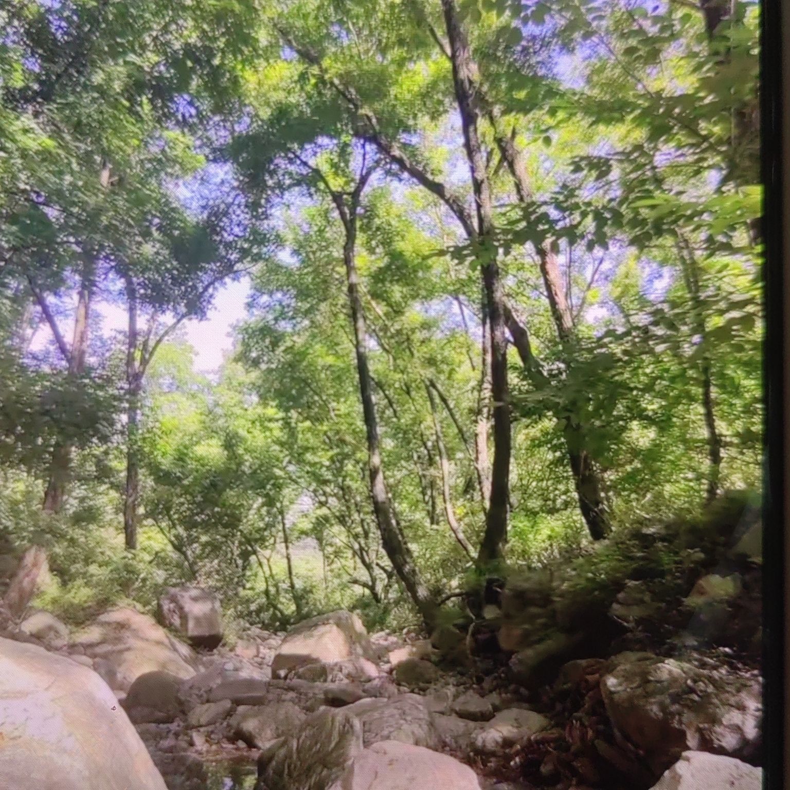 凤鸣谷风景区旅行图片 2