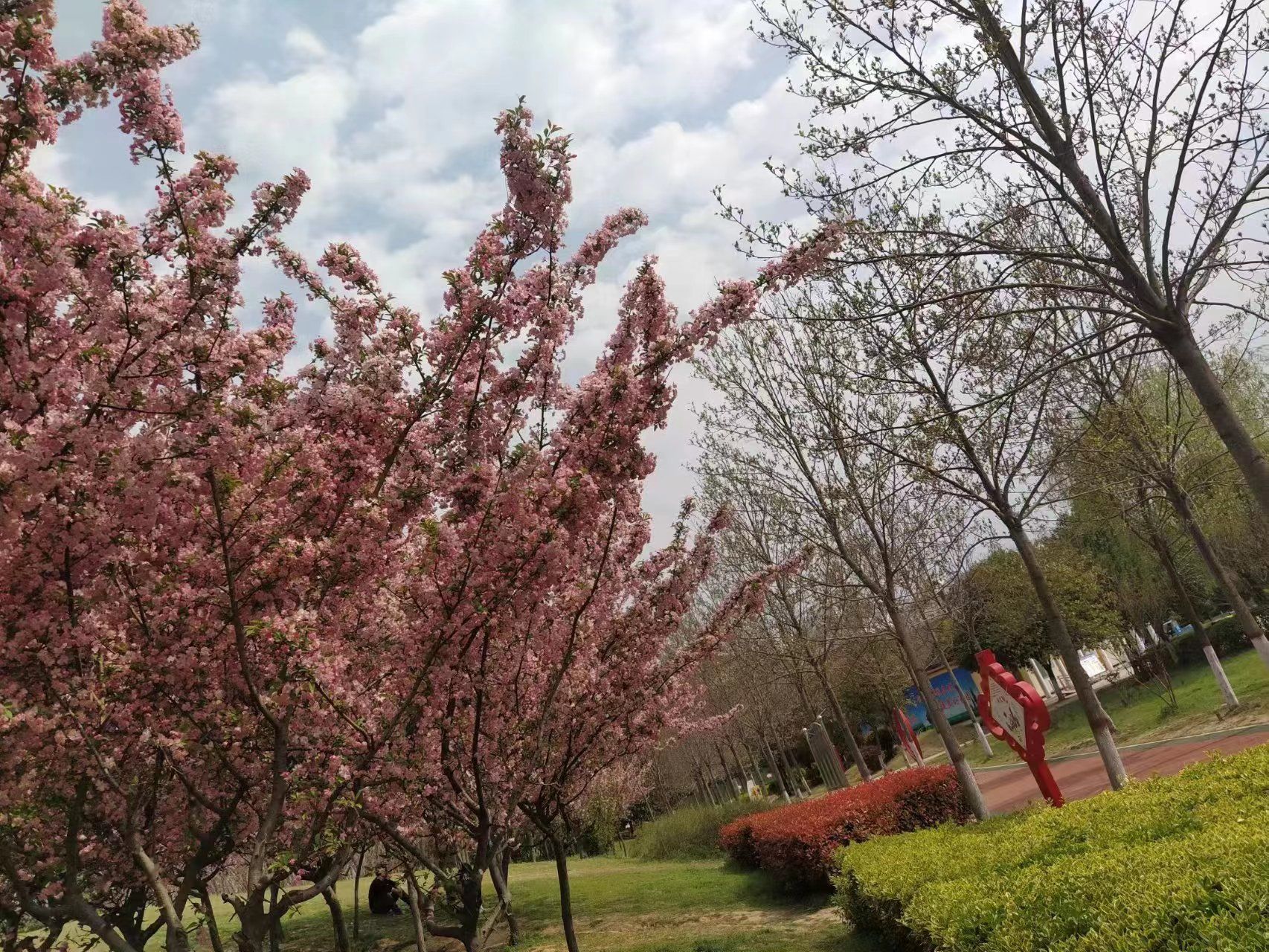奚仲公园旅行图片 3
