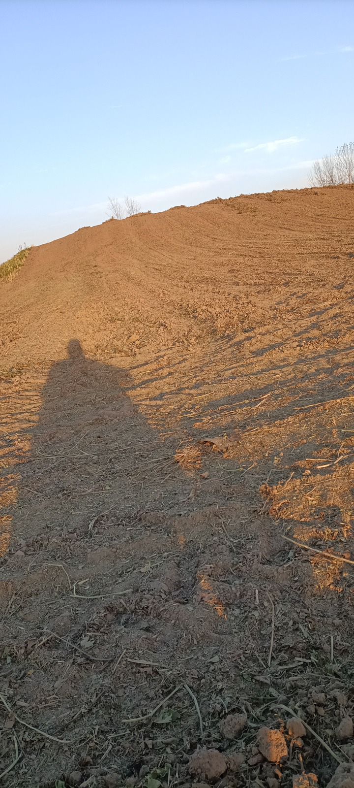 小刘备台遗址旅行图片 2