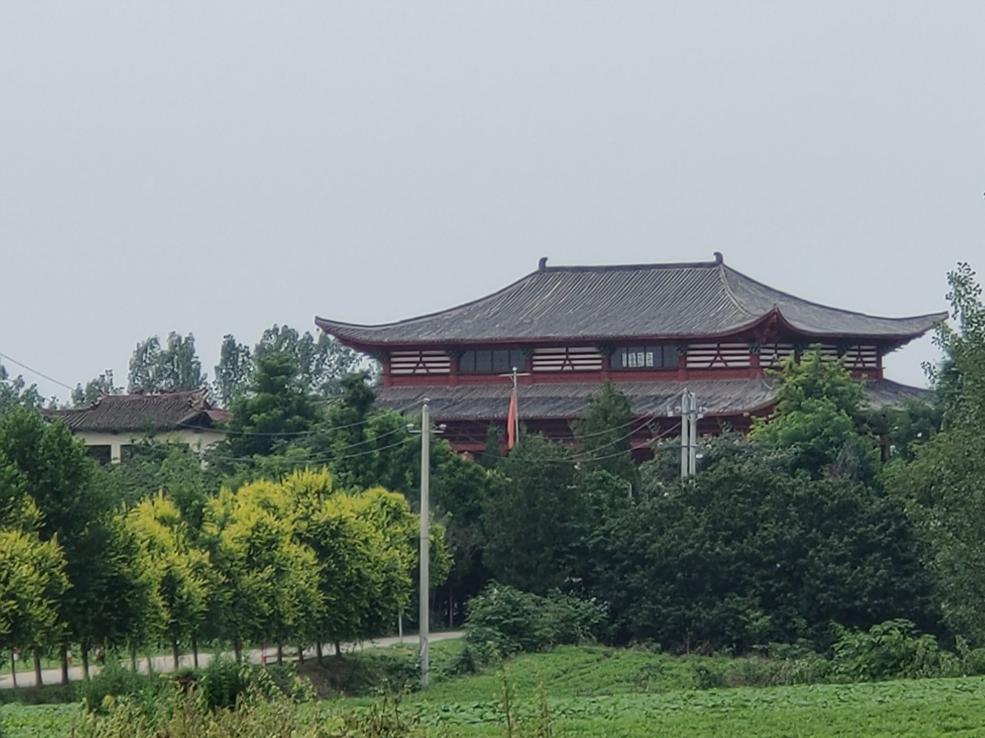 蟾虎寺