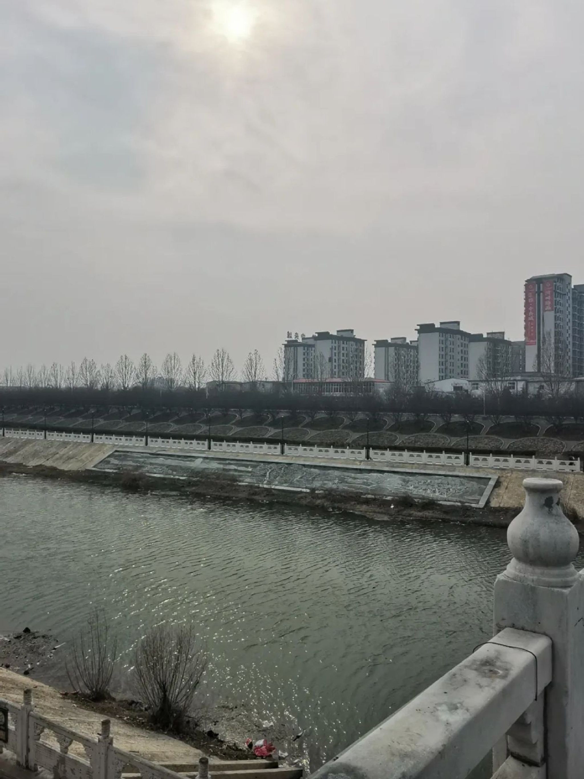 洪河公园旅行图片 3