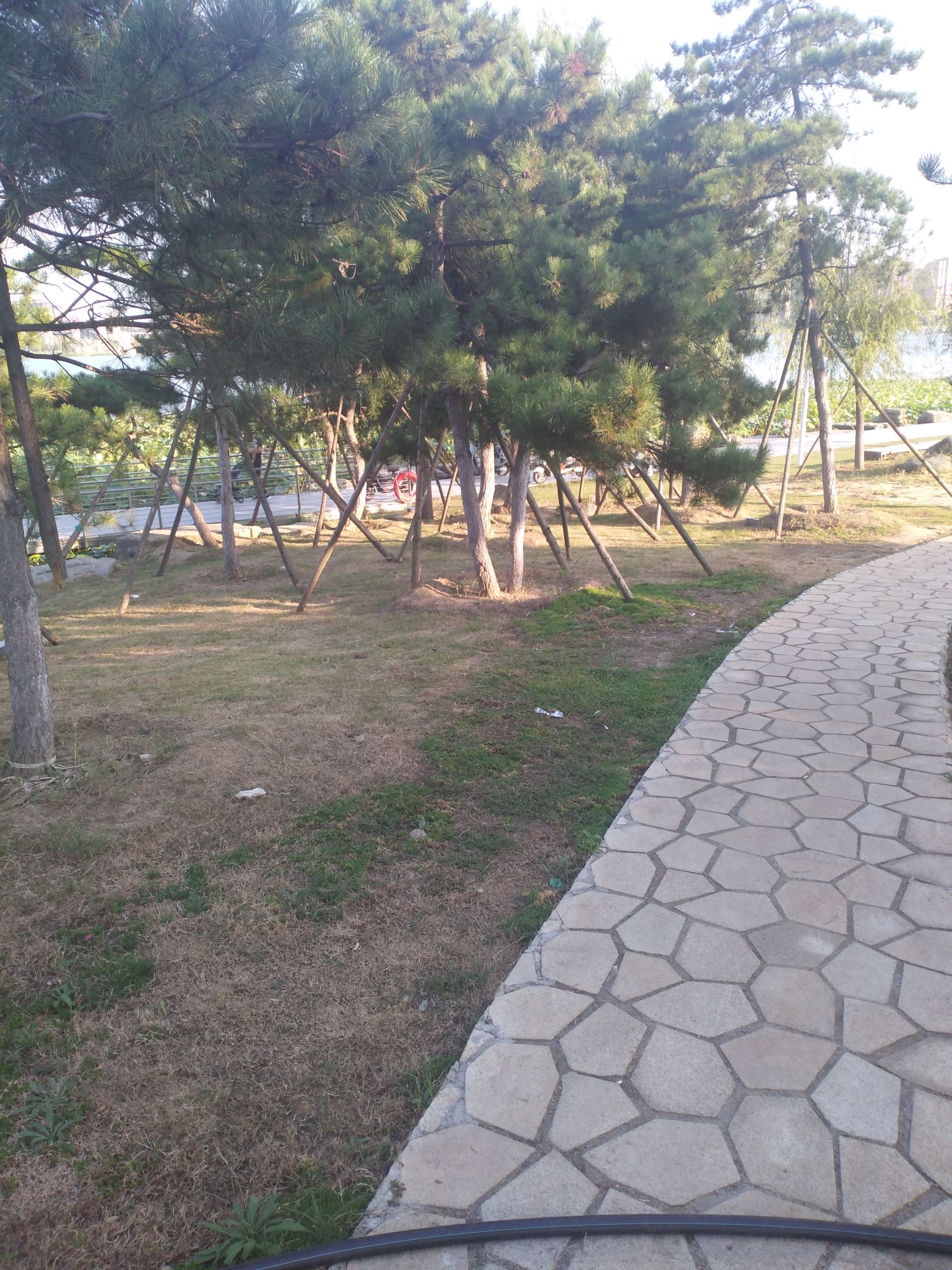 南海公园旅行图片 3