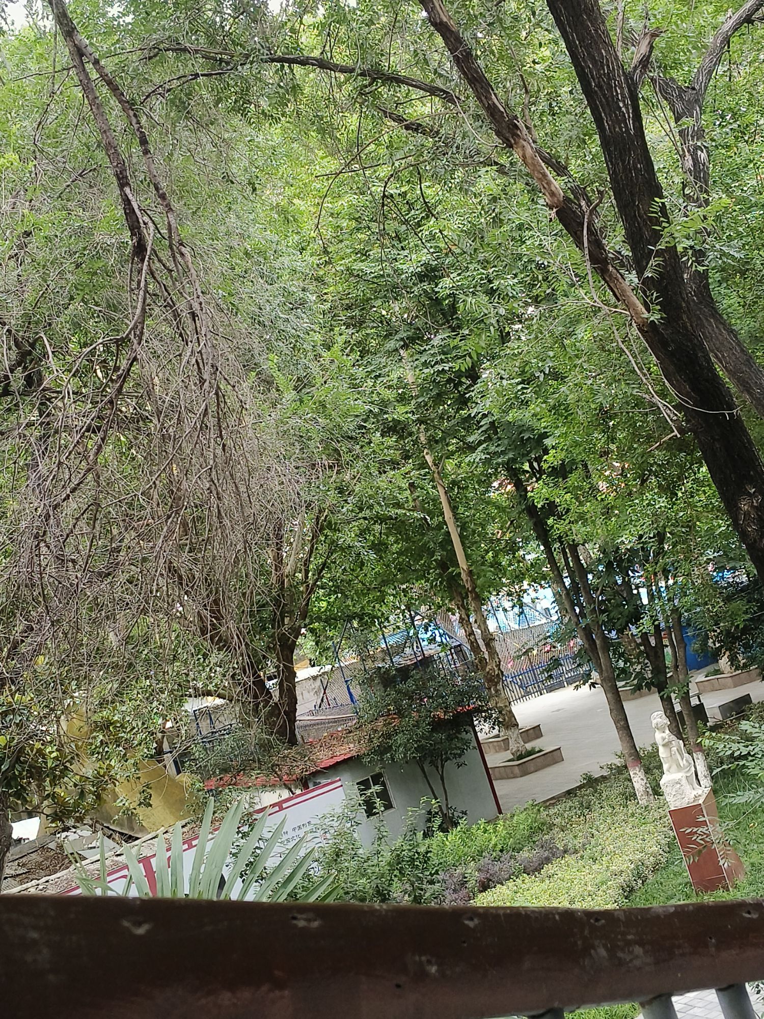 南海公园旅行图片 1