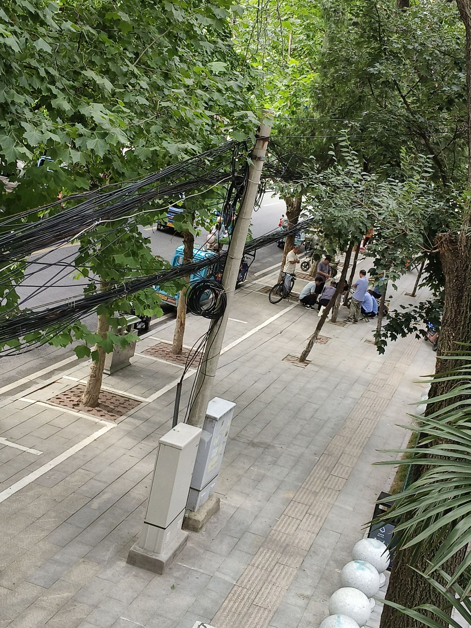 南海公园旅行图片 2