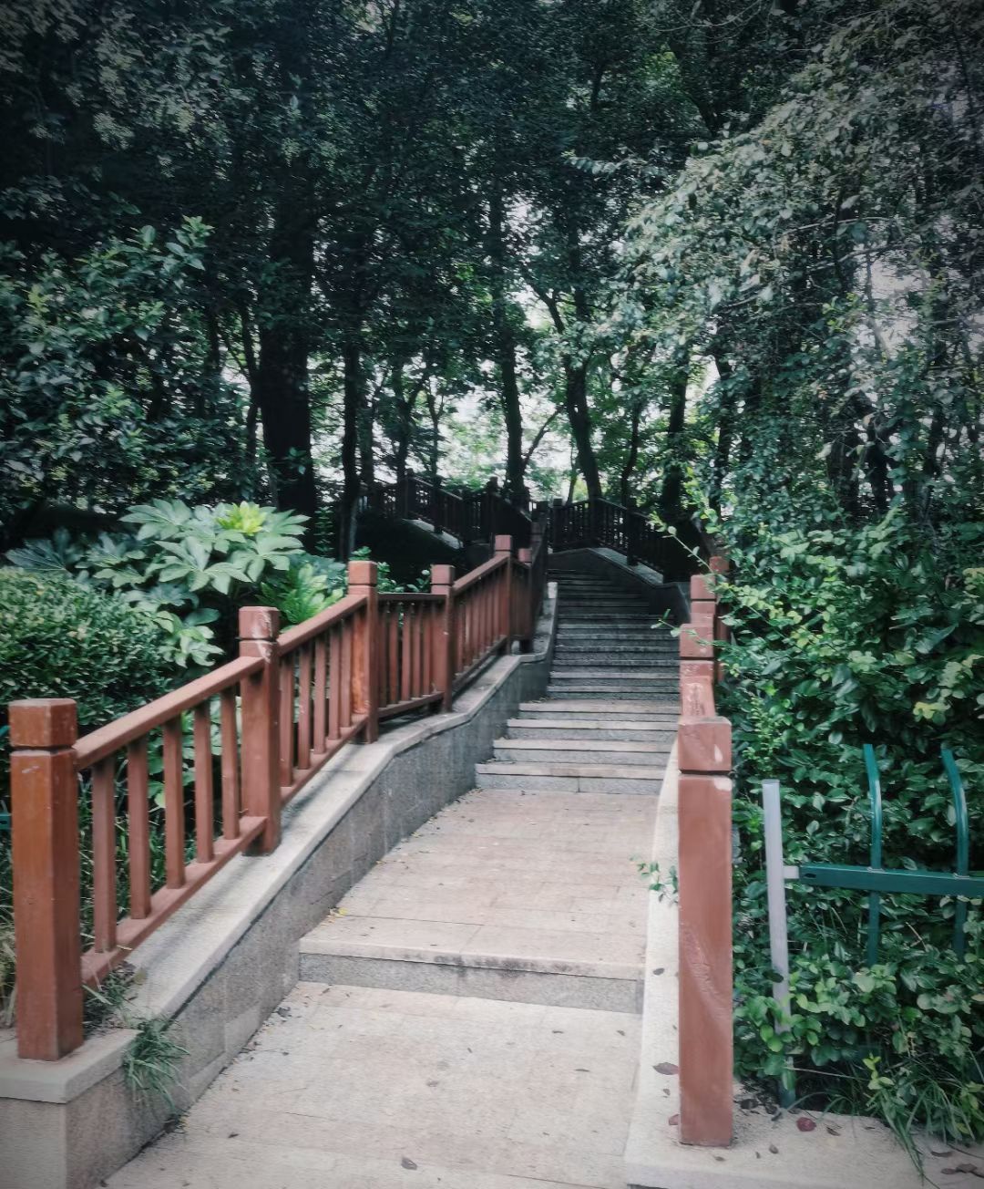 南海公园旅行图片 3