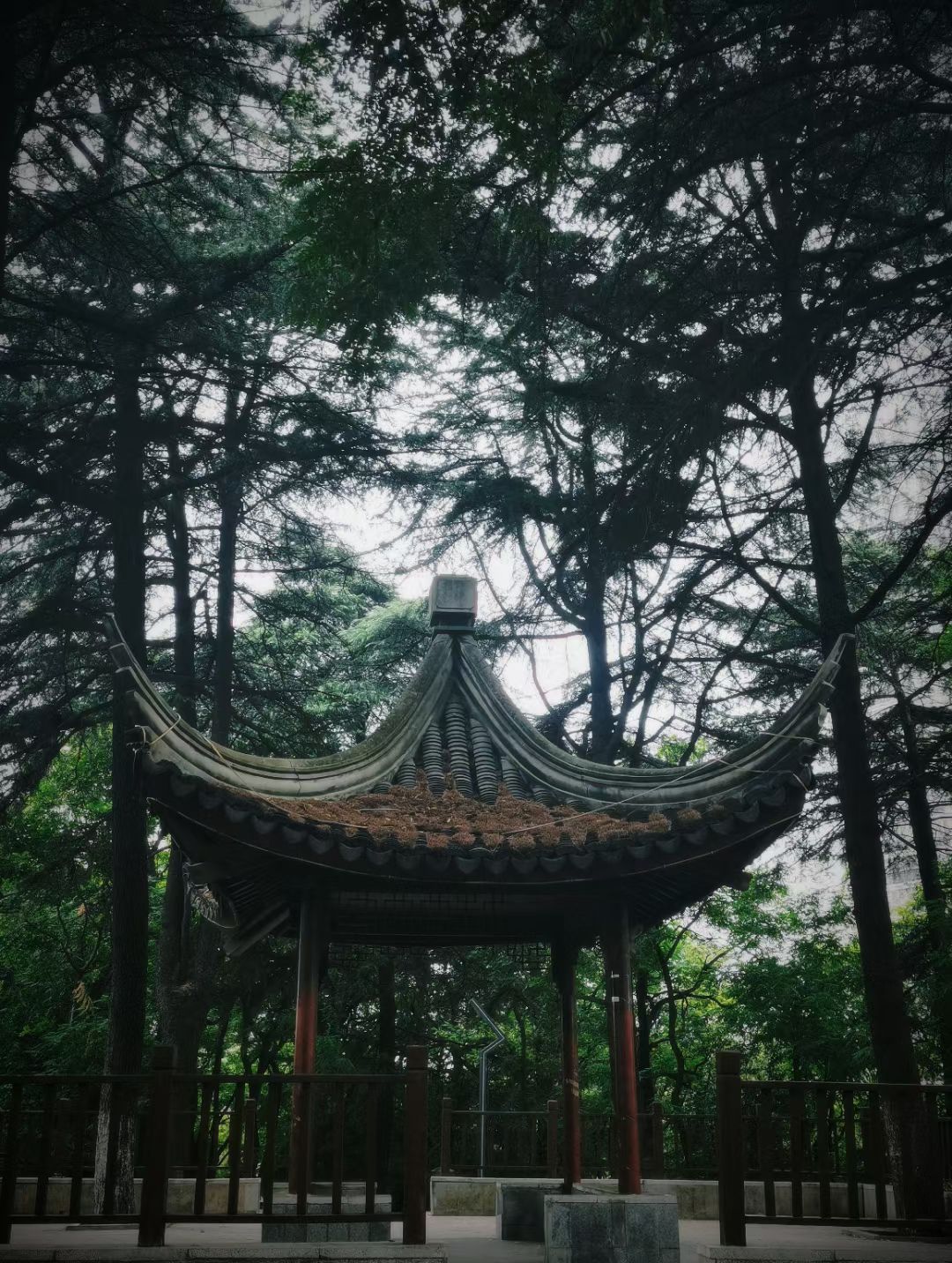南海公园旅行图片 2