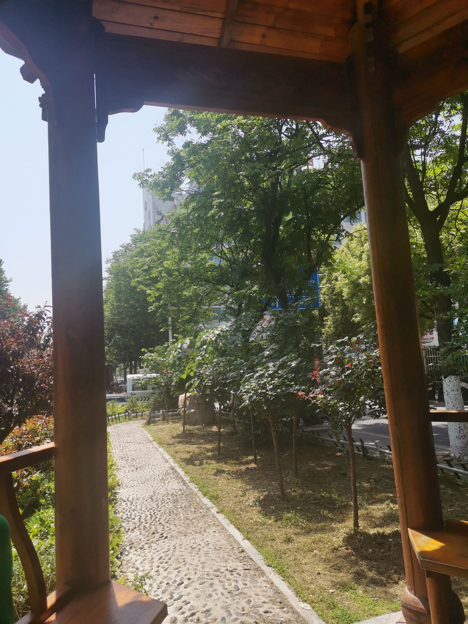 中心医院游园旅行图片 1