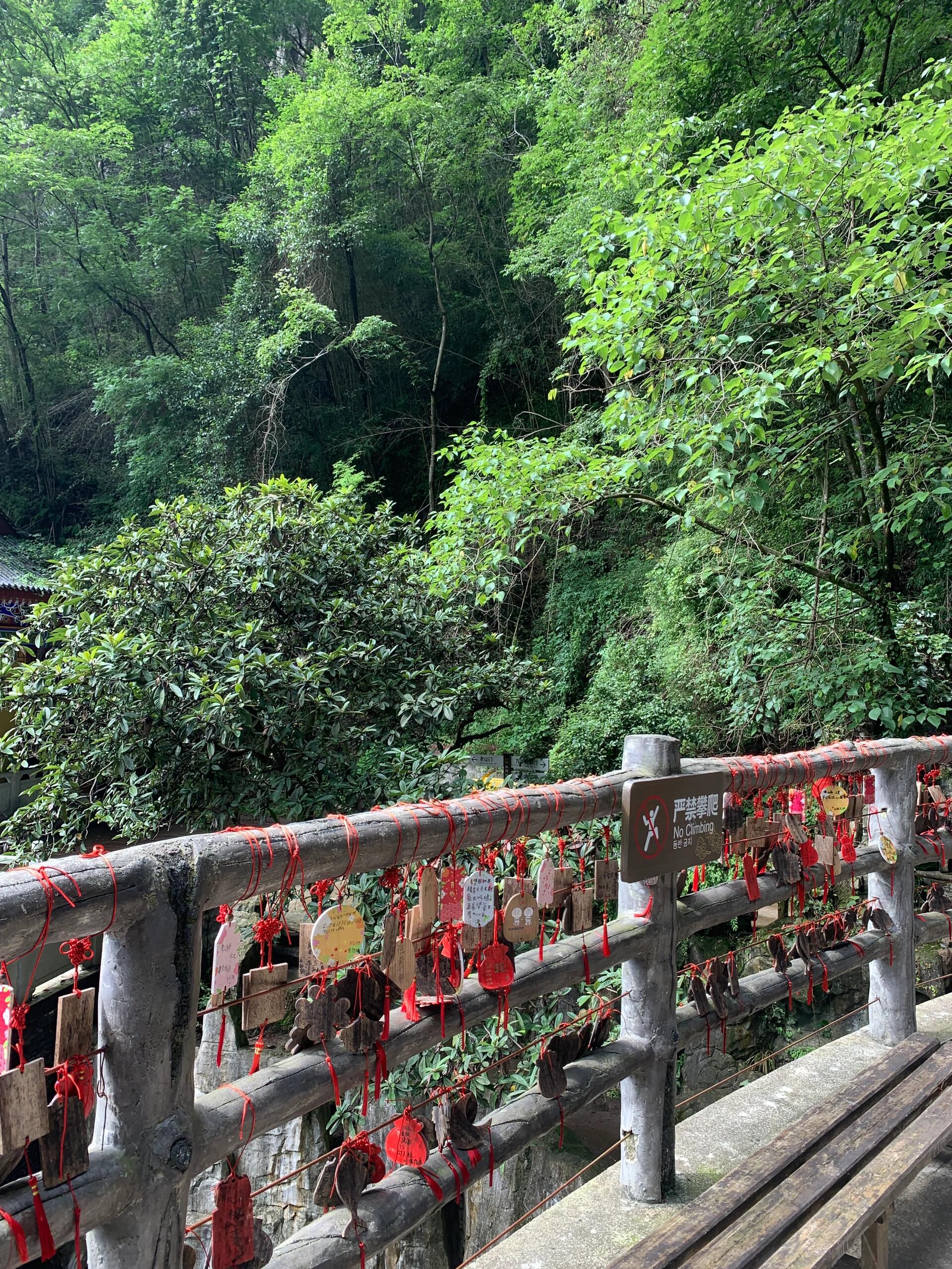 九龙洞景区旅行图片 1