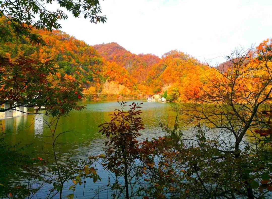 九龙洞景区旅行图片 2