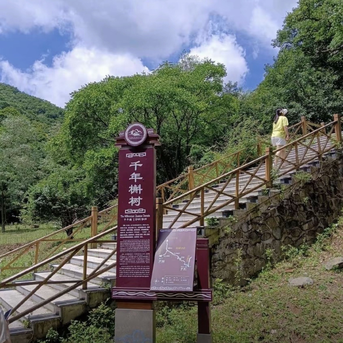 甘山国家森林公园旅行图片 2