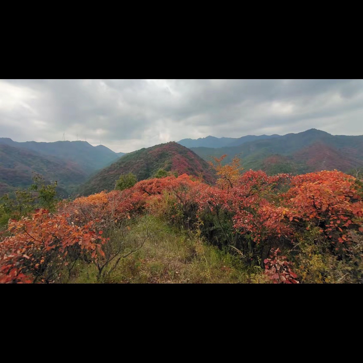 甘山国家森林公园旅行图片 3