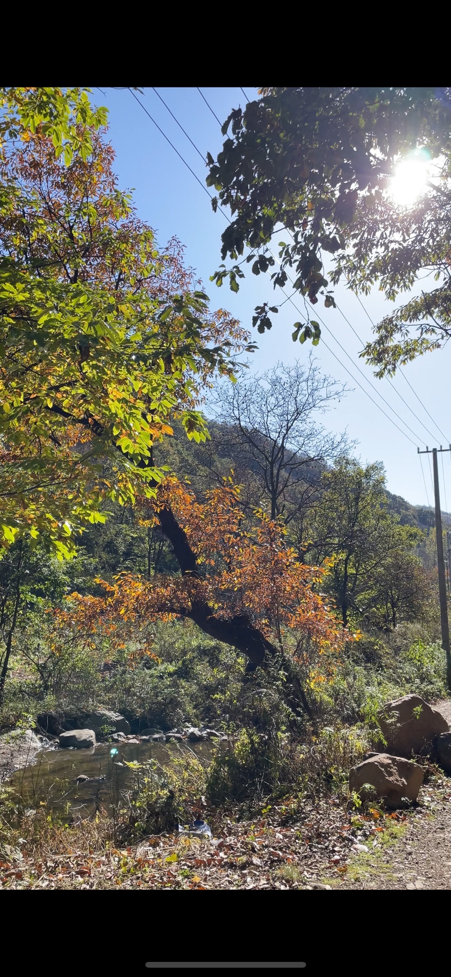 甘山国家森林公园旅行图片 3