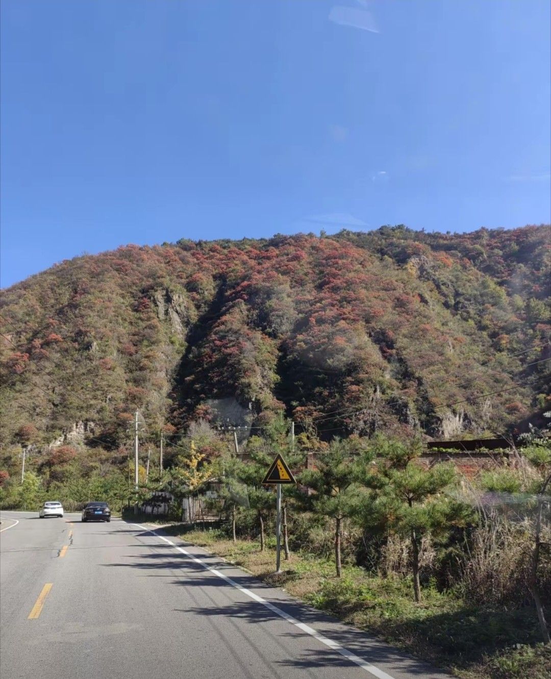甘山国家森林公园旅行图片 2