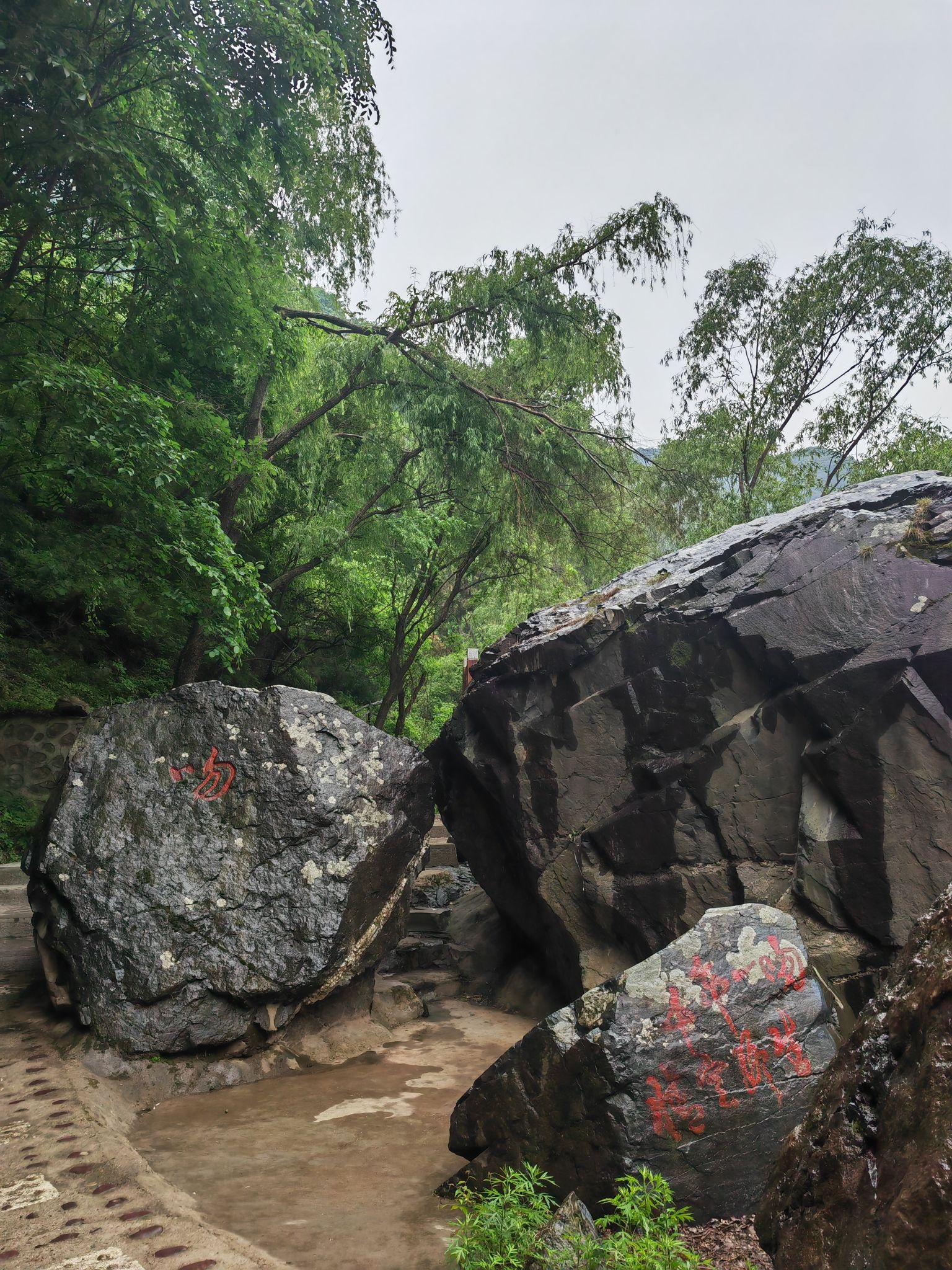 豫西大峡谷(暂停开放)旅行图片 3