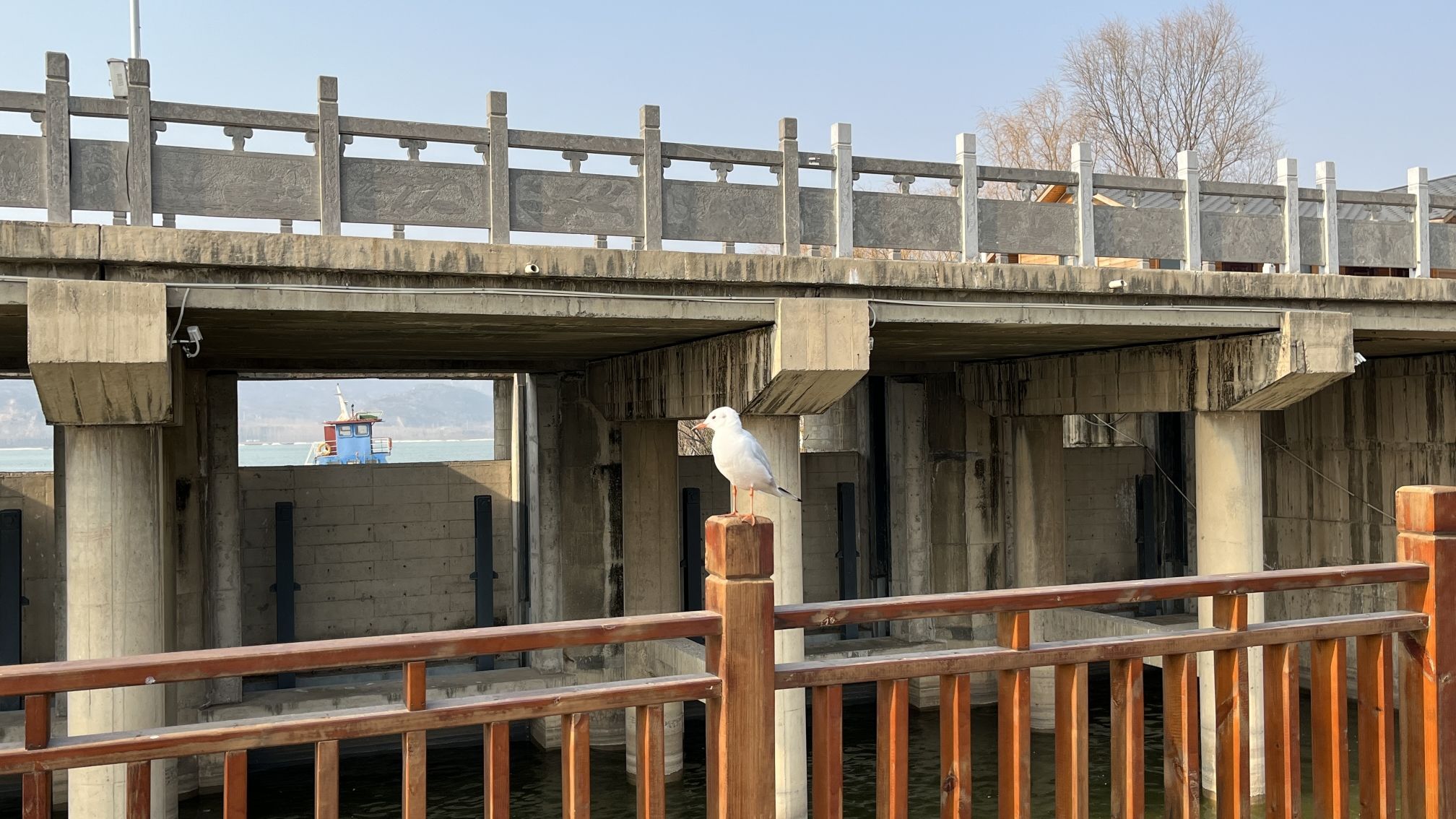 陕州风景区旅行图片 3