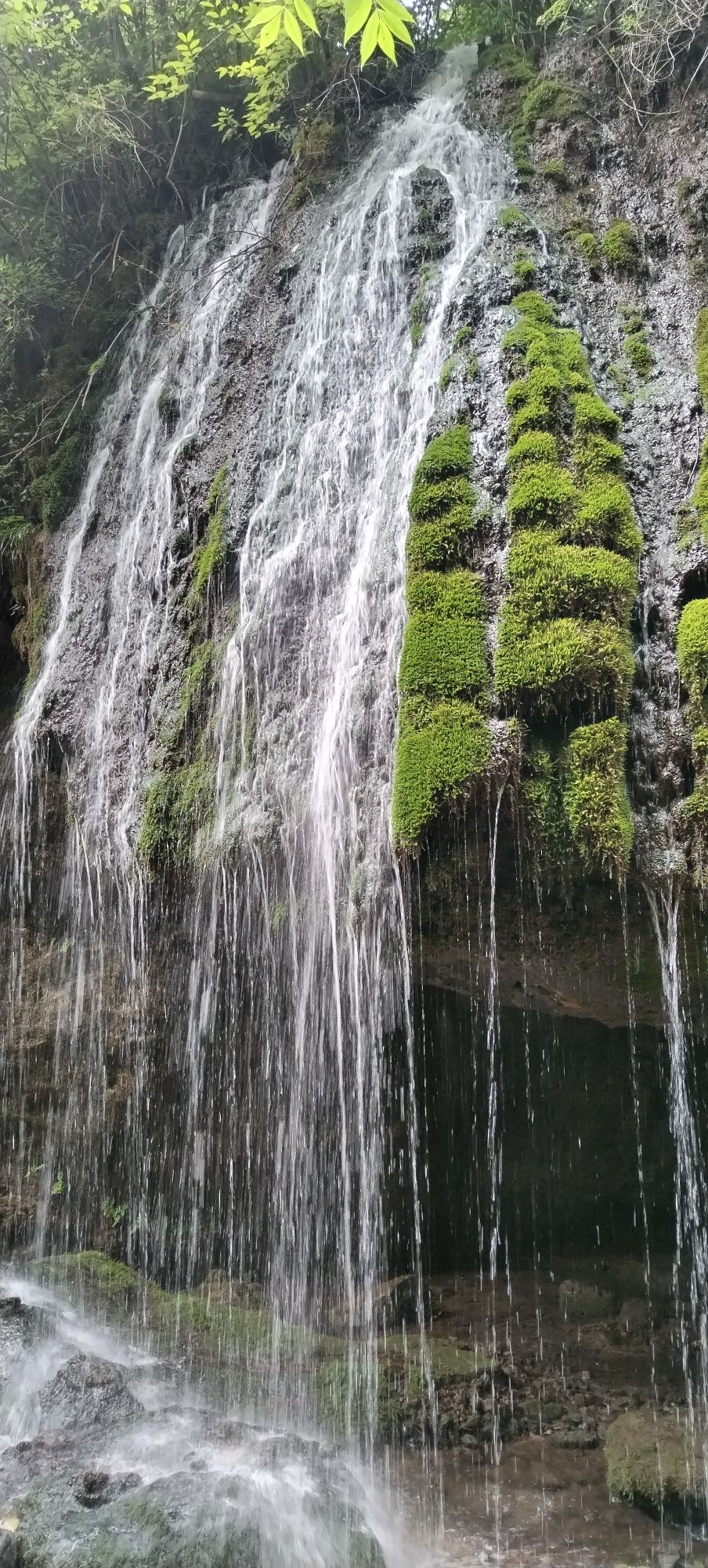 双龙湾旅行图片 3