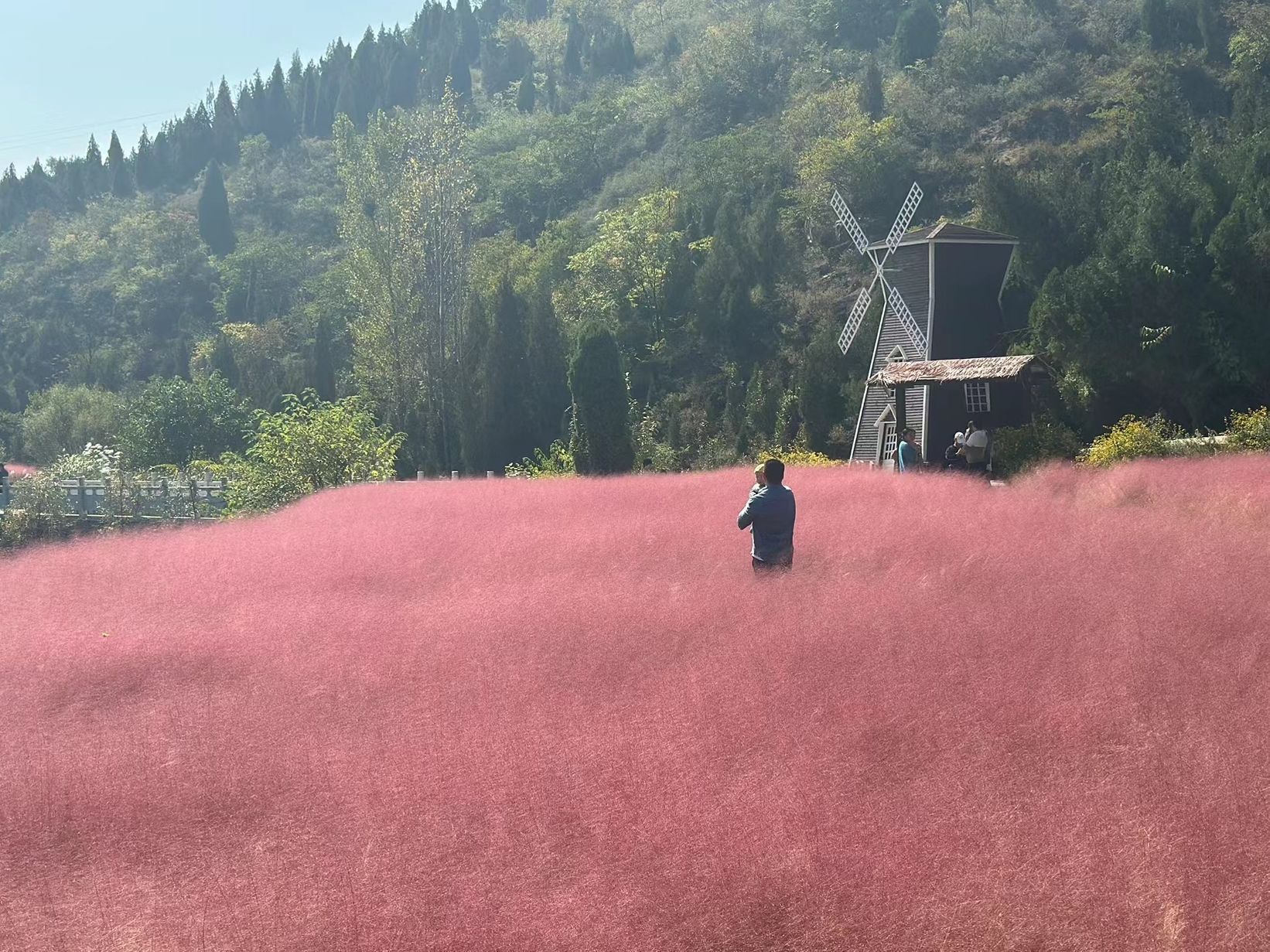 清风山旅行图片 3