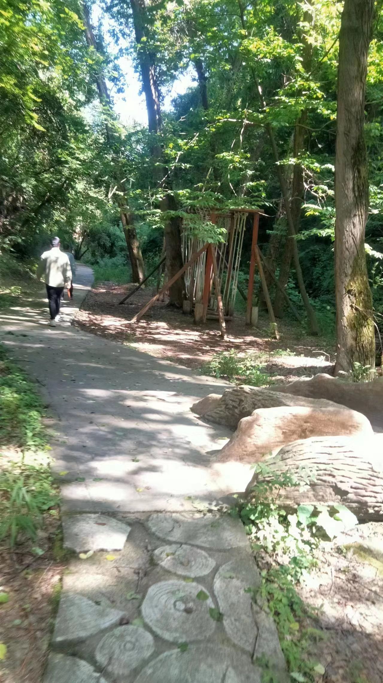 河南燕子山国家森林公园旅行图片 2