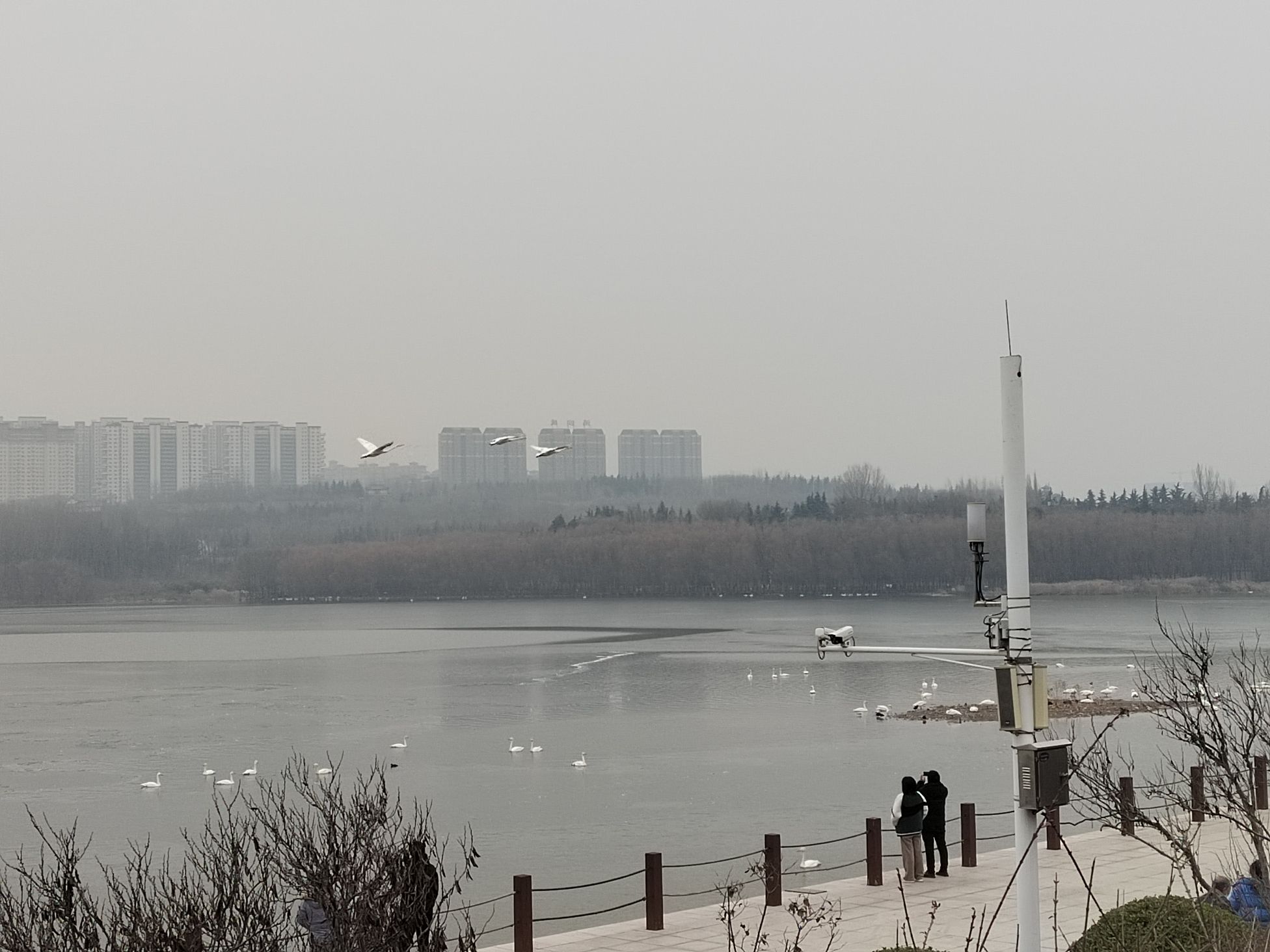 陕州公园旅行图片 1