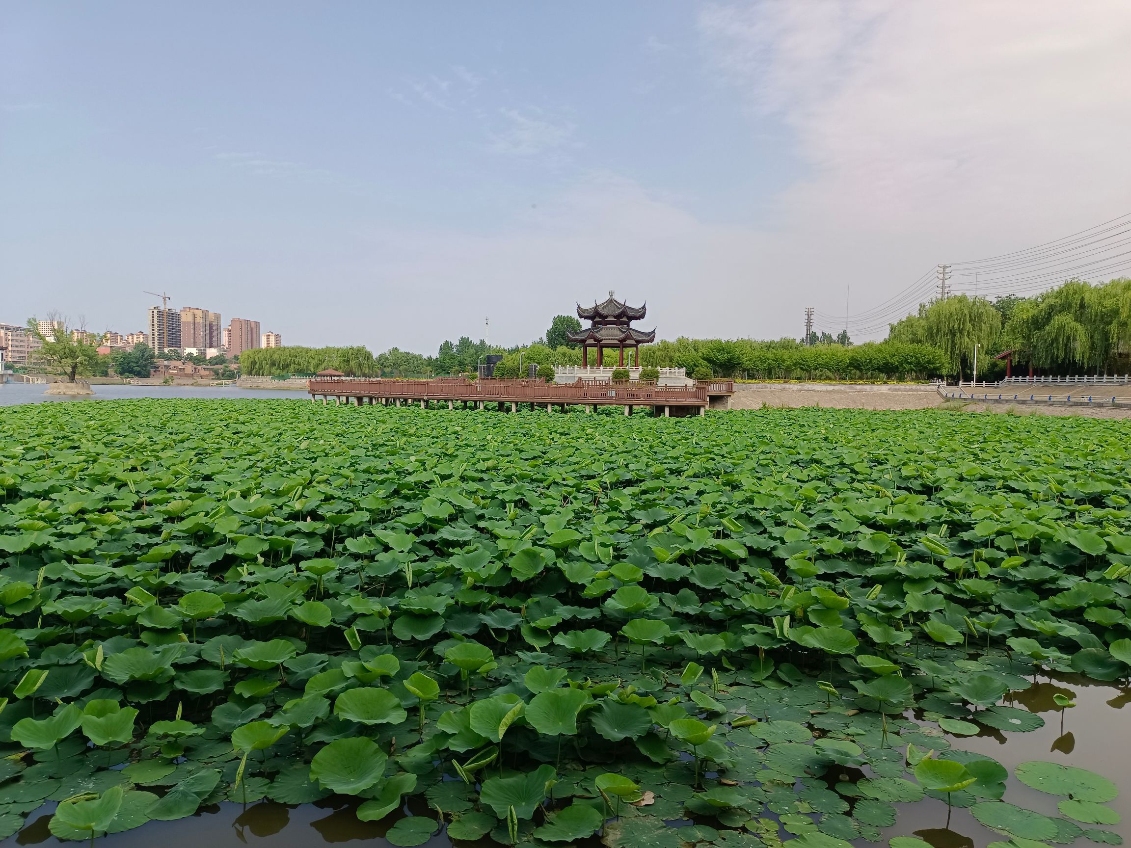 渑池生态园旅行图片 3
