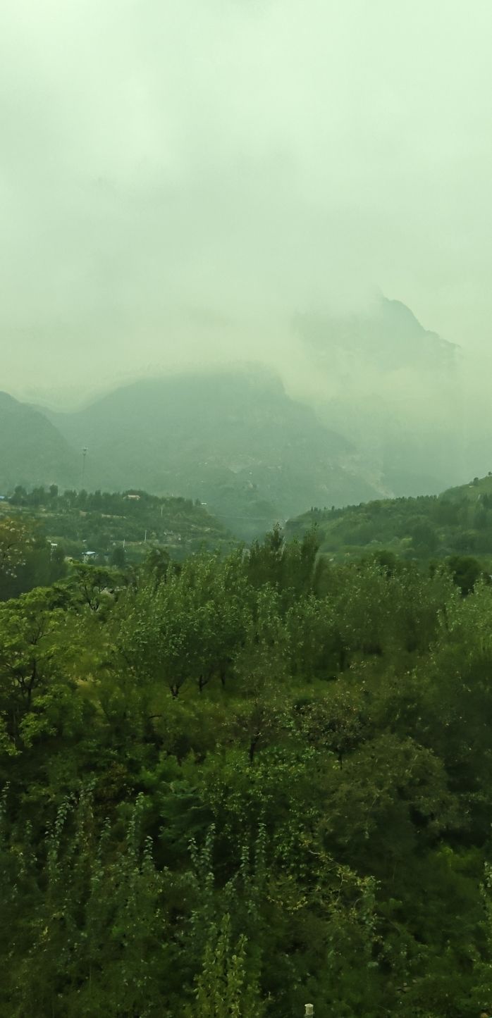 甘棠公园旅行图片 1