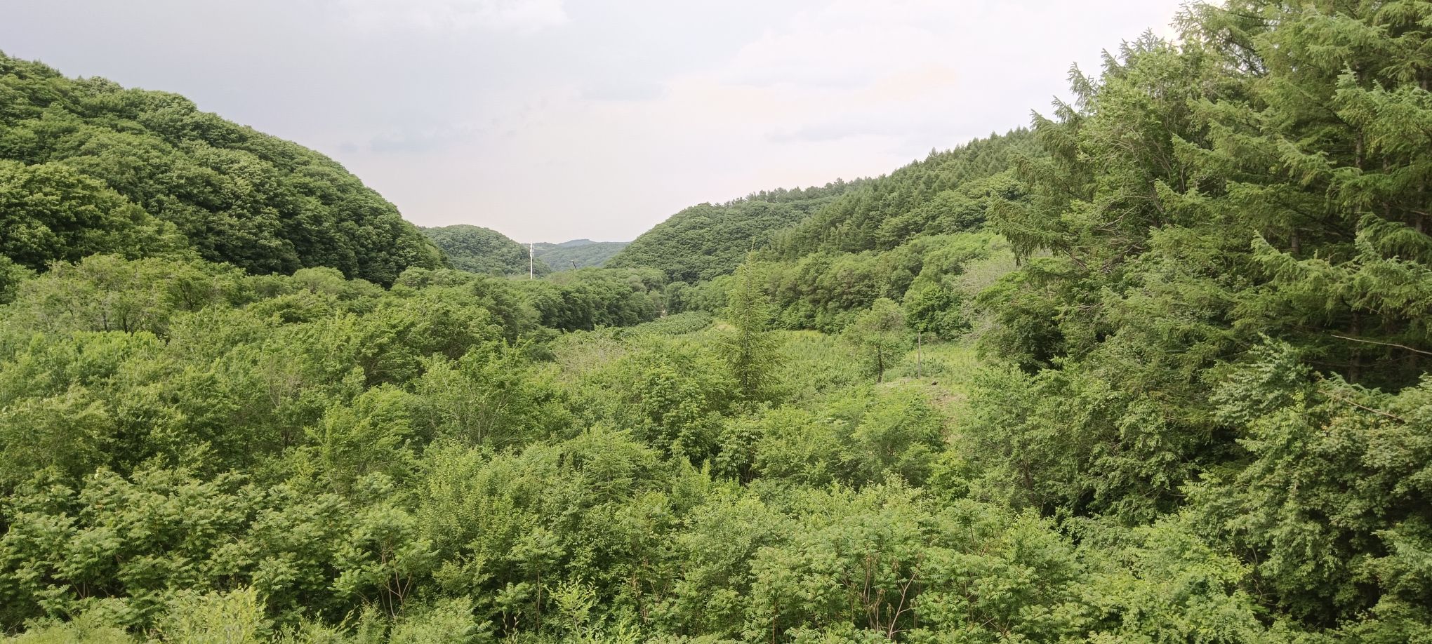 冰砬山国家森林公园旅行图片 2