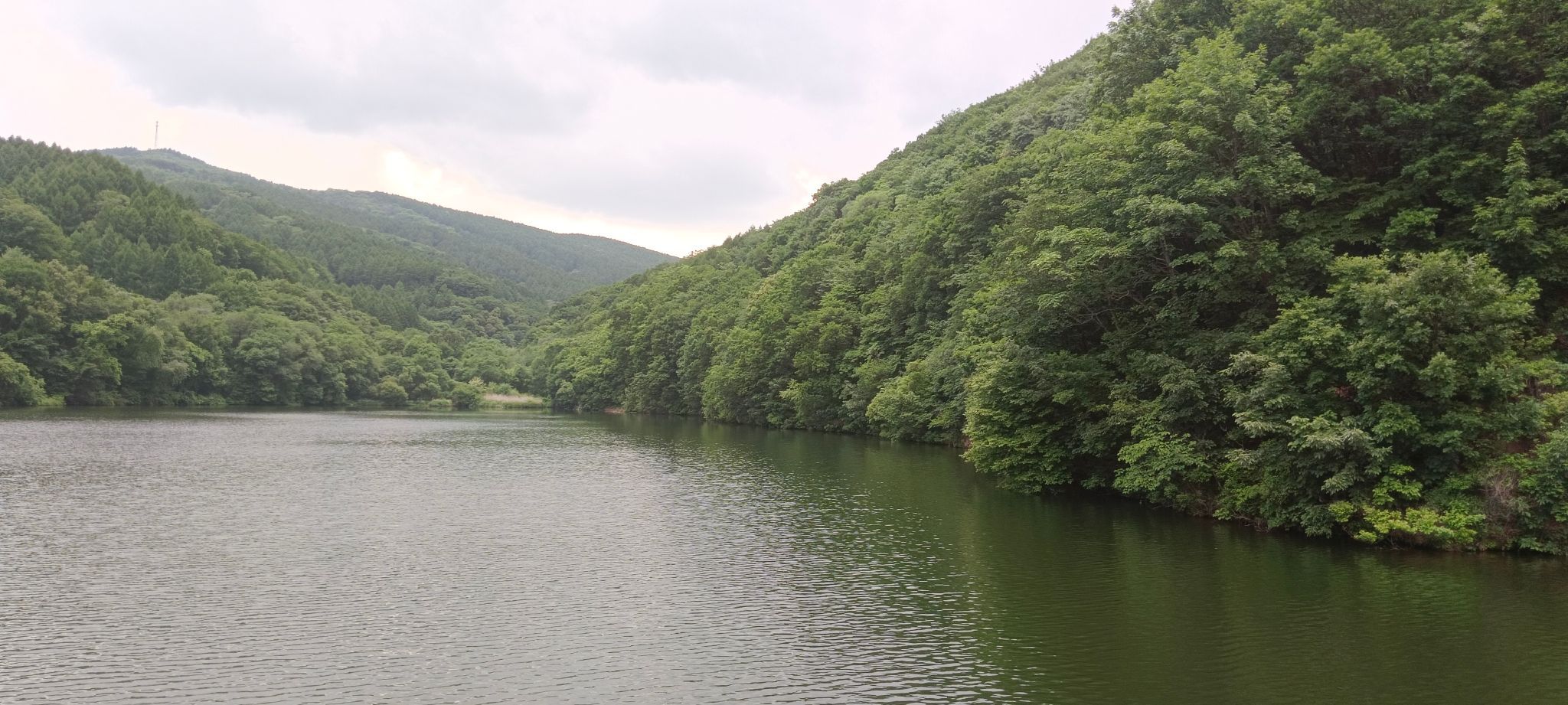 冰砬山国家森林公园旅行图片 1